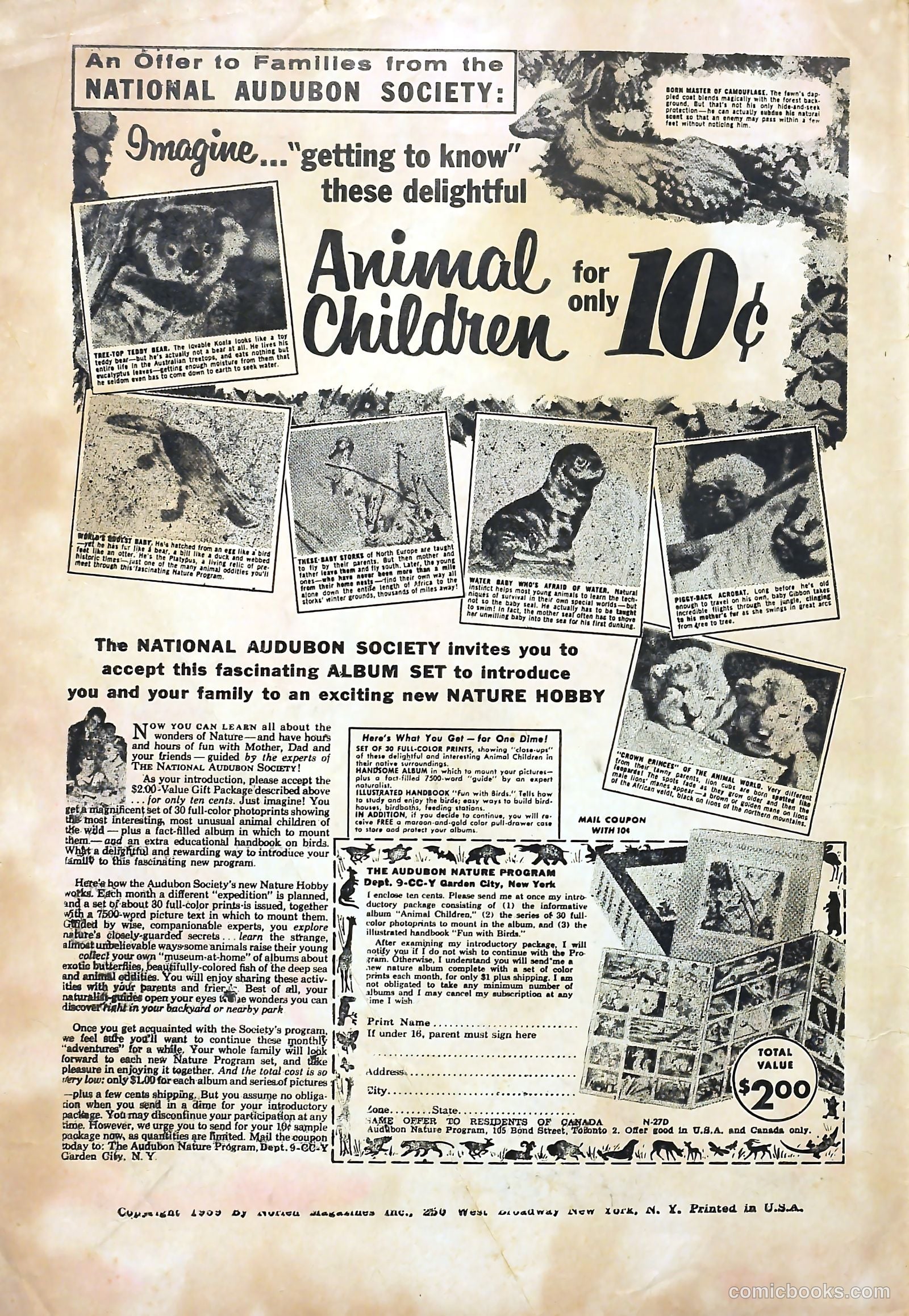 Cosmo Cat #4 (1959) — page 2 of 36