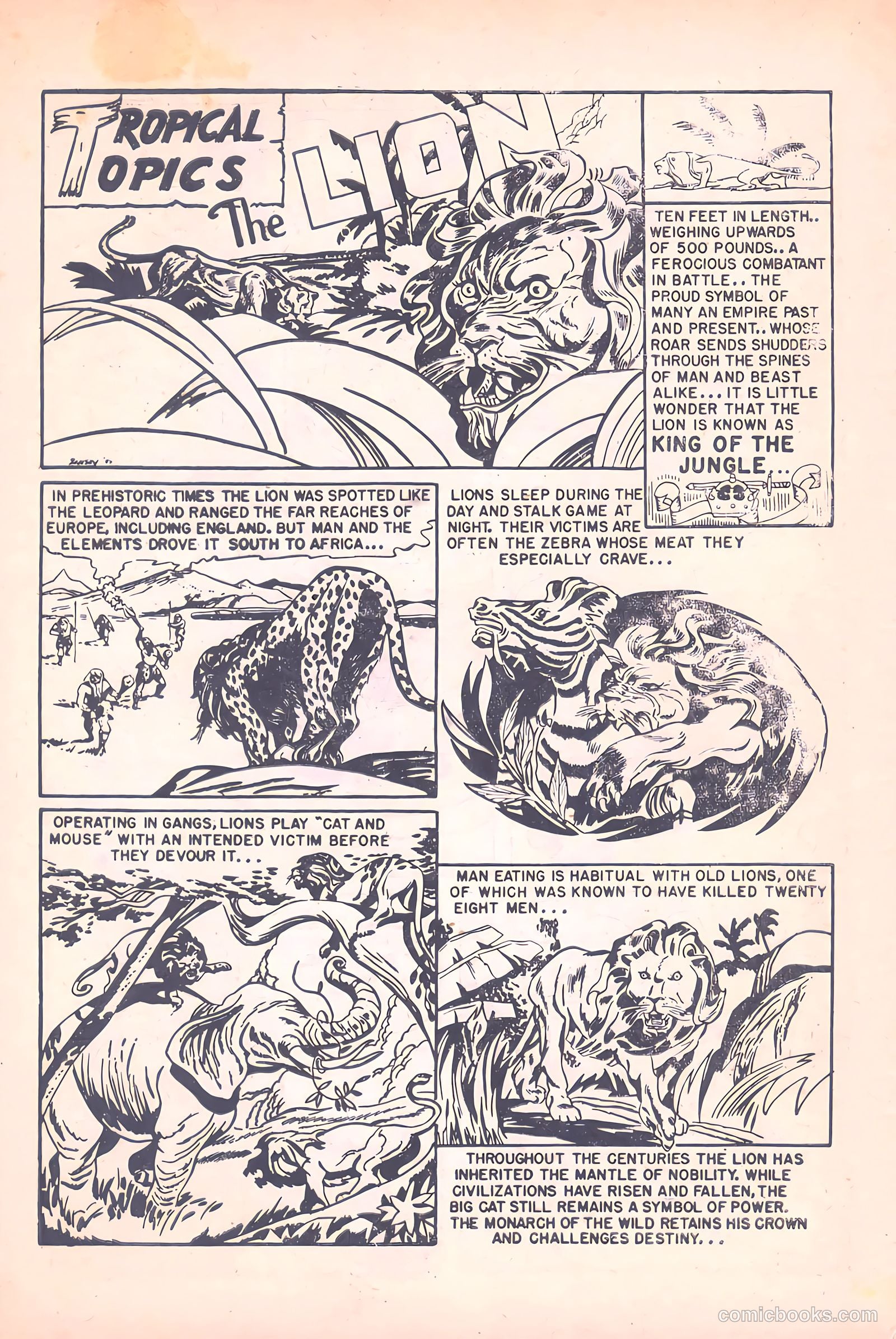 Cosmo Cat #4 (1957) — page 34 of 36