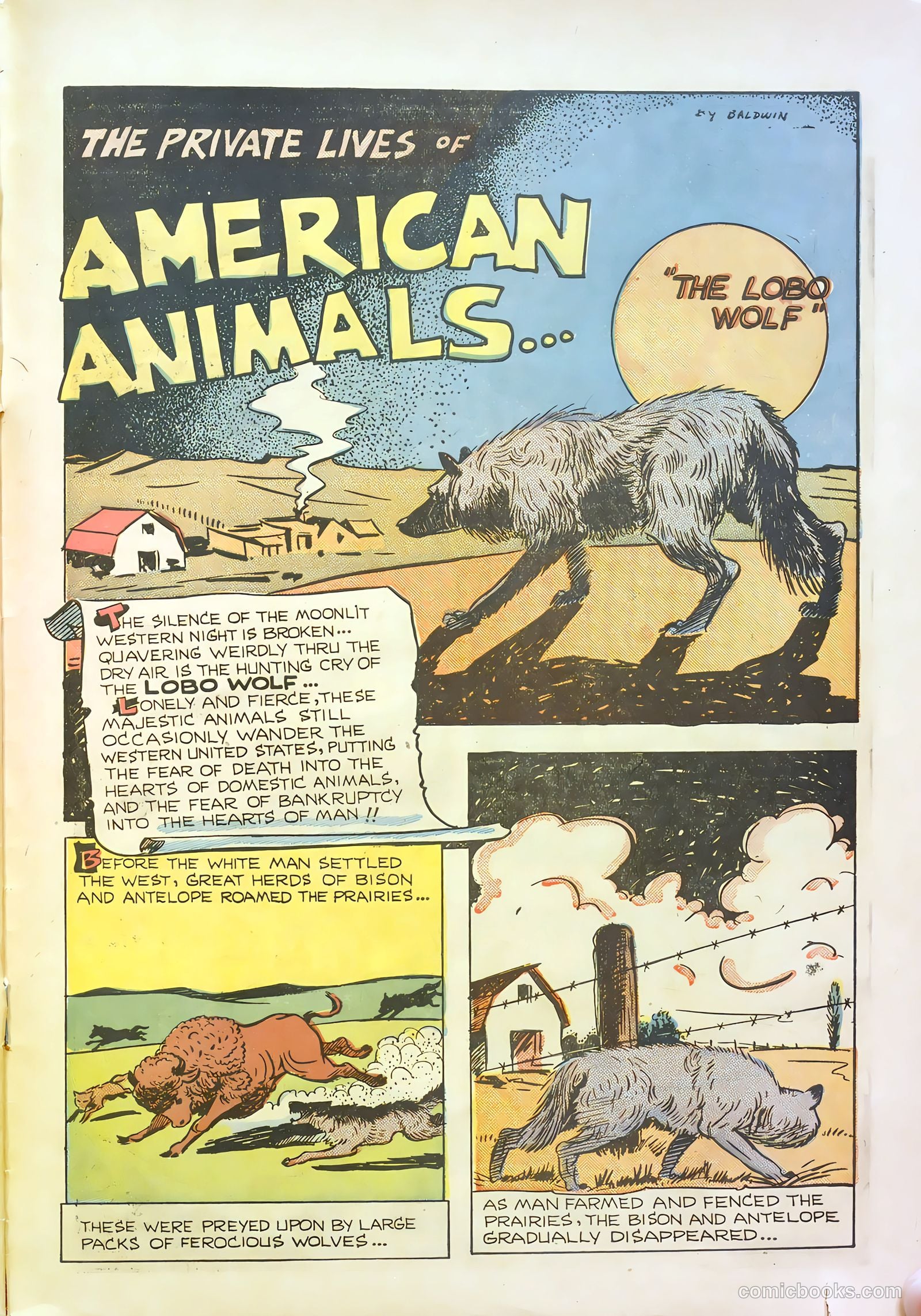 Cosmo Cat #5 (1947) — page 29 of 36