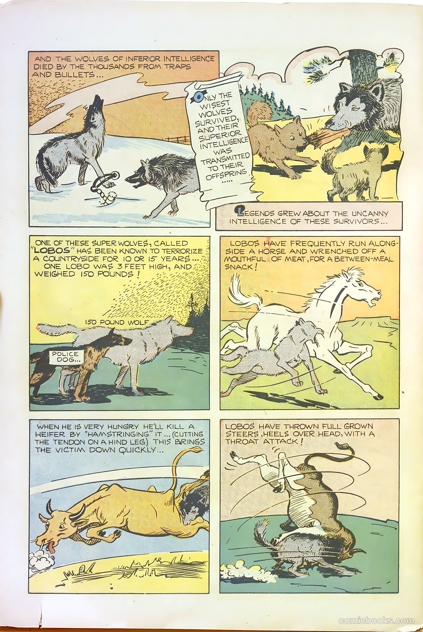 Cosmo Cat #5 (1947) — page 30 of 36