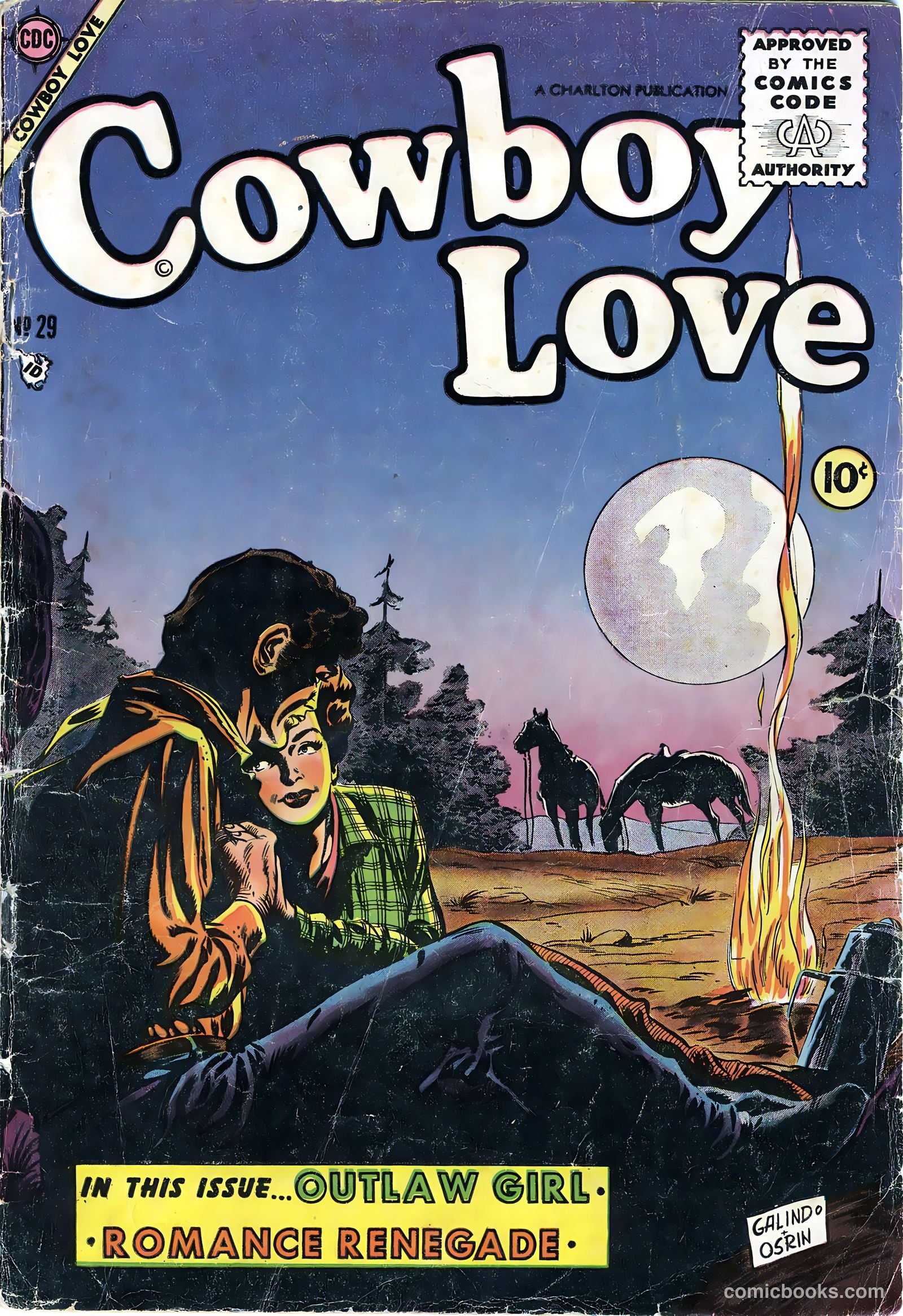 Cowboy Love #29