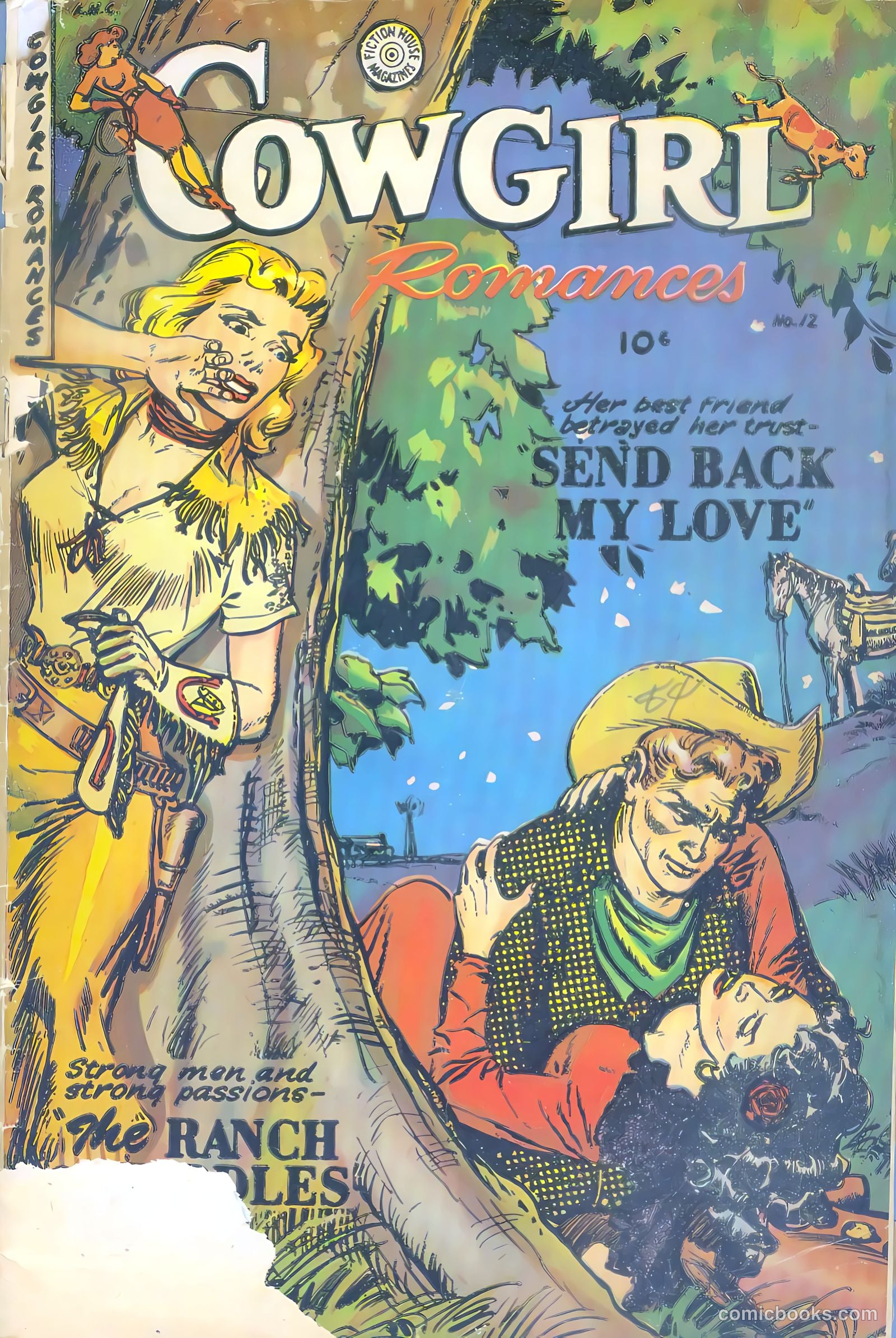 Cowgirl Romances #12