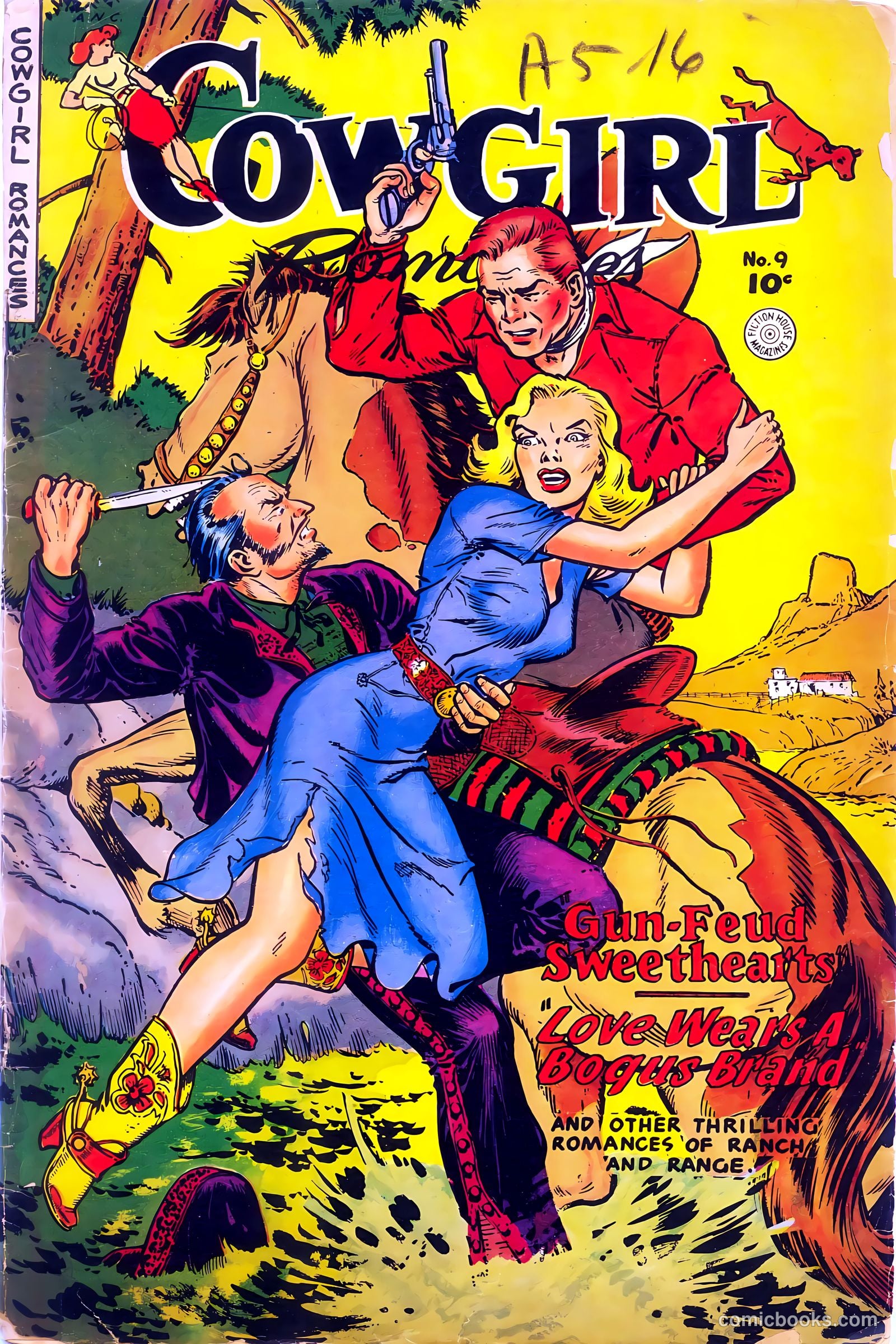 Cowgirl Romances #9
