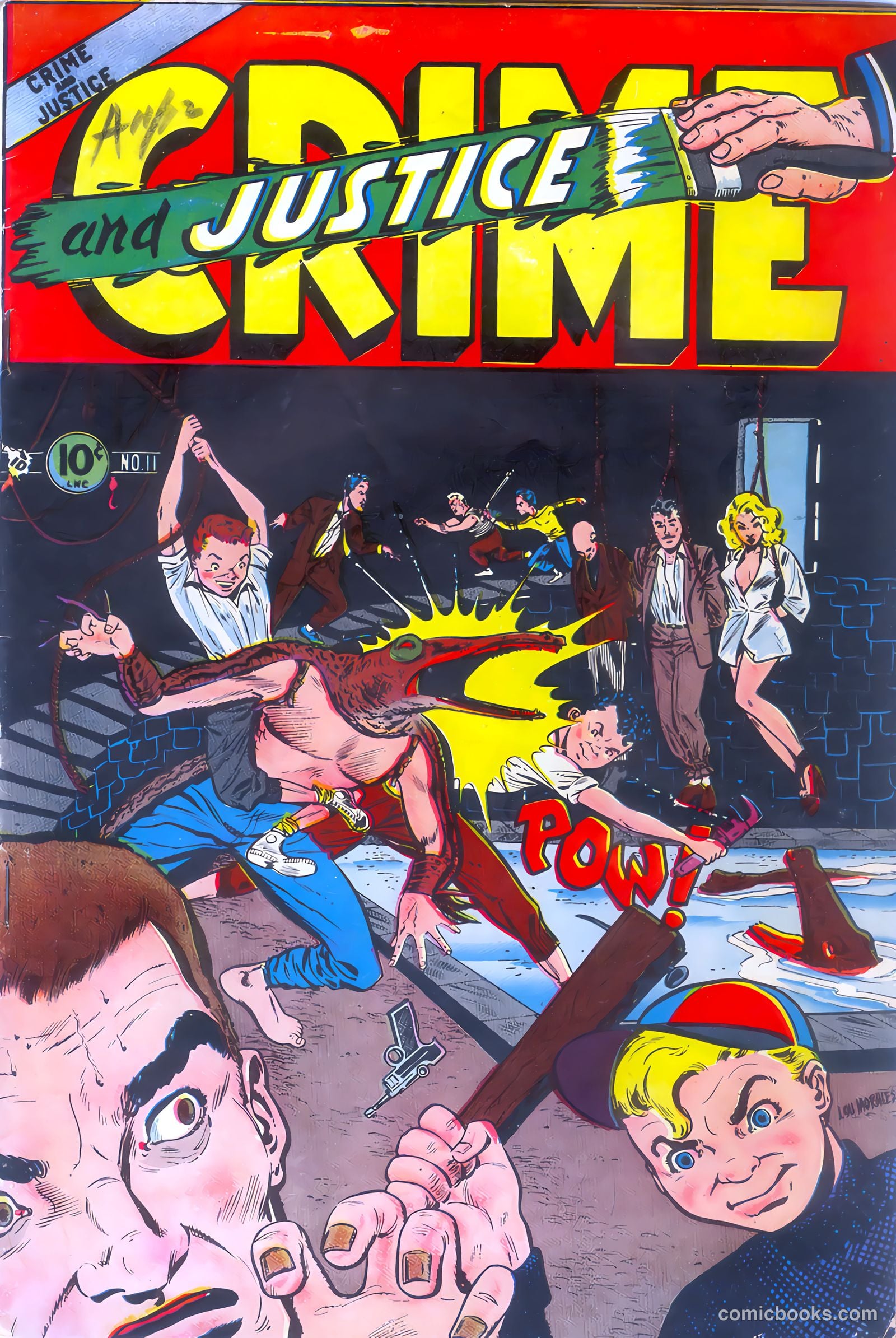 Crime and Justice #11