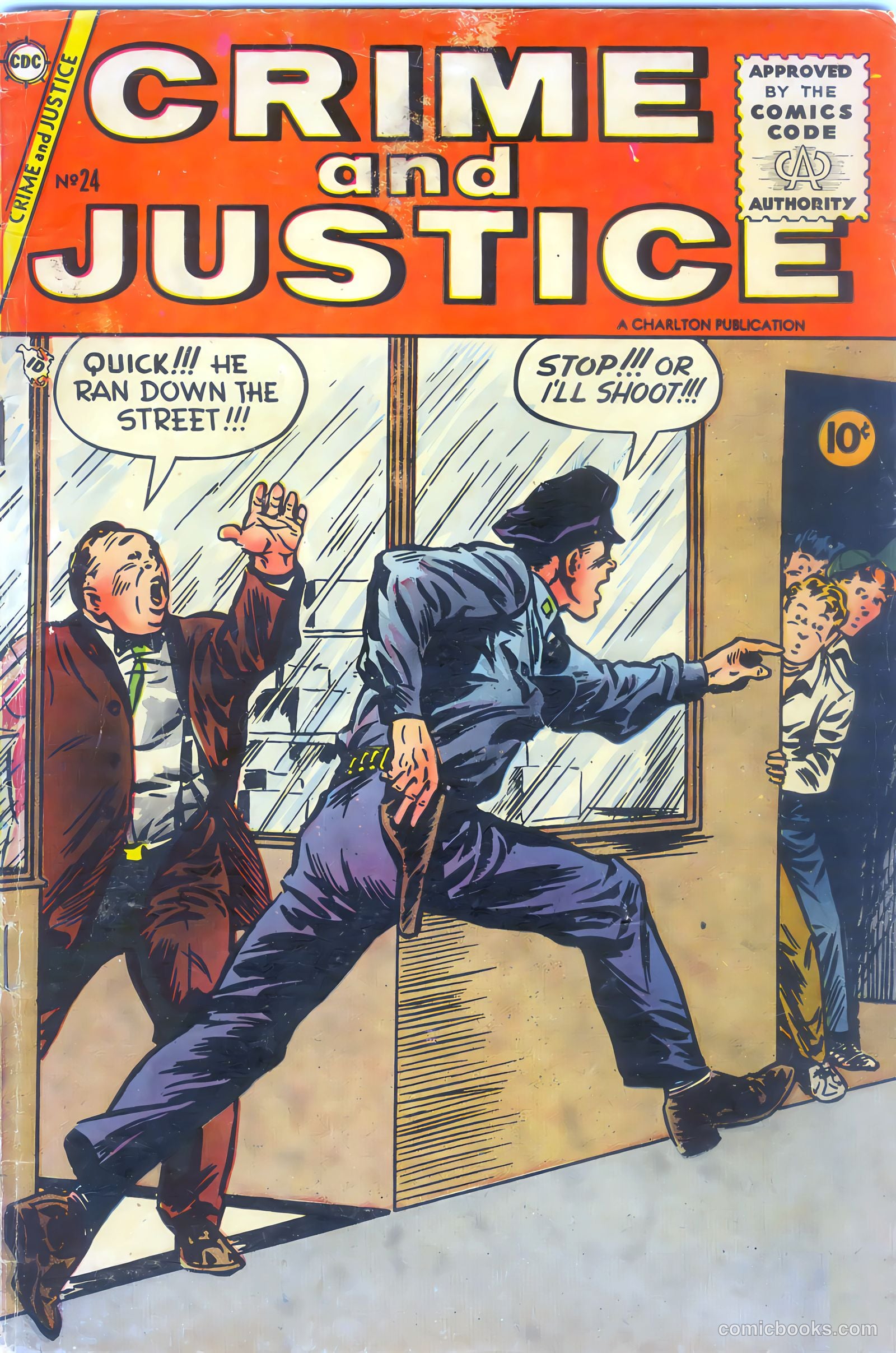 Crime and Justice #24