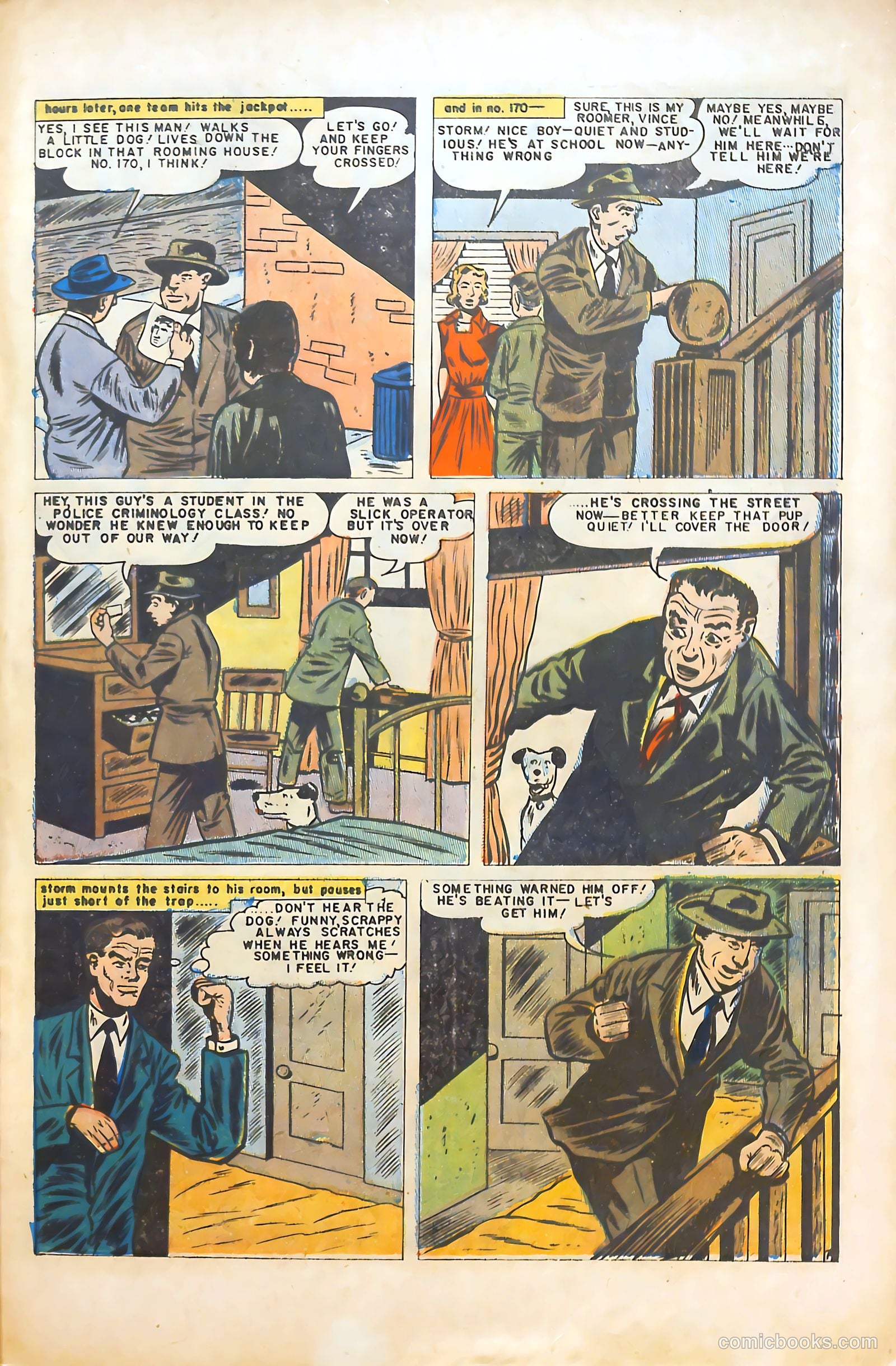 Crime Detector #3 (1954) — page 31 of 36
