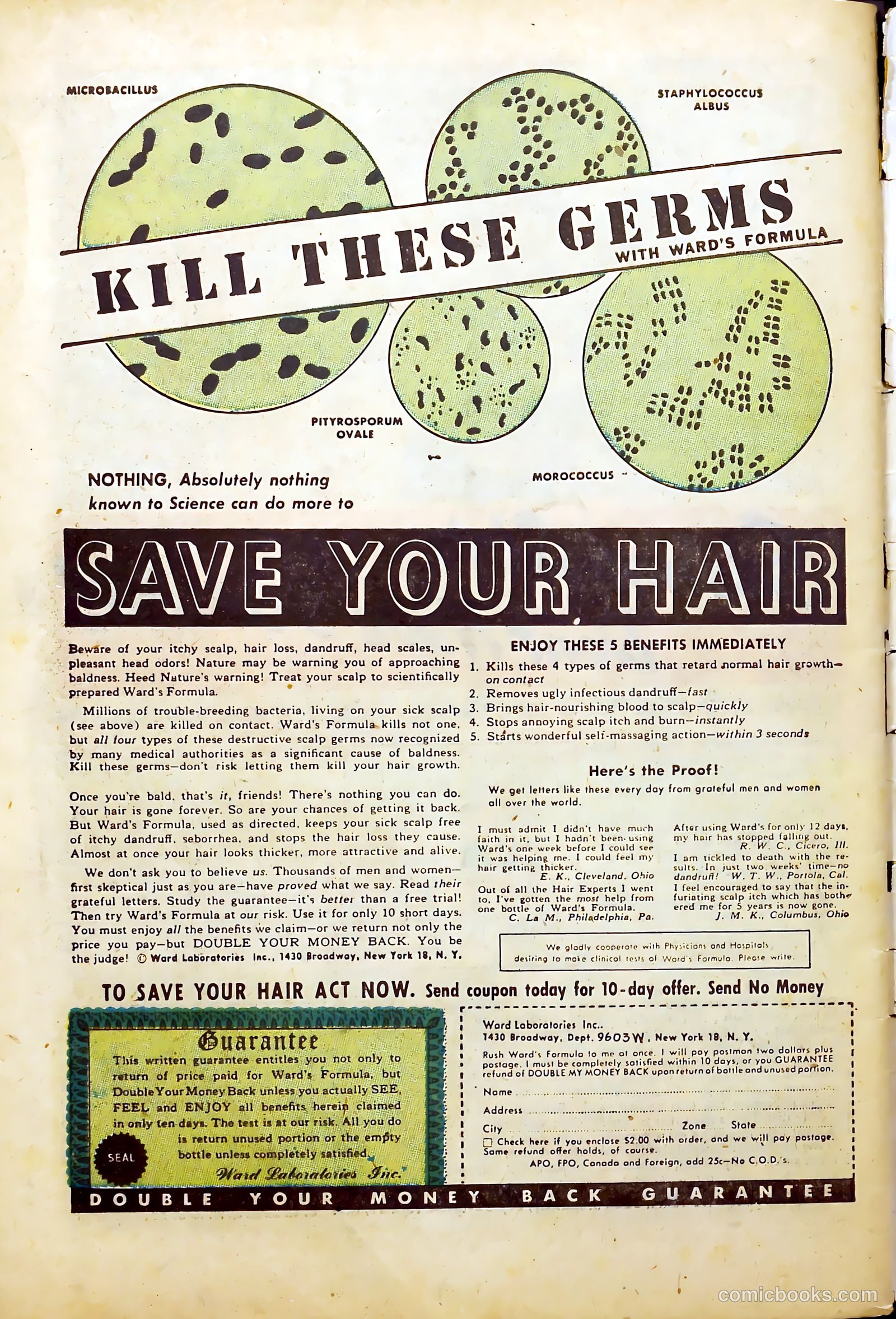Crime Mysteries #1 (1952) — page 35 of 37