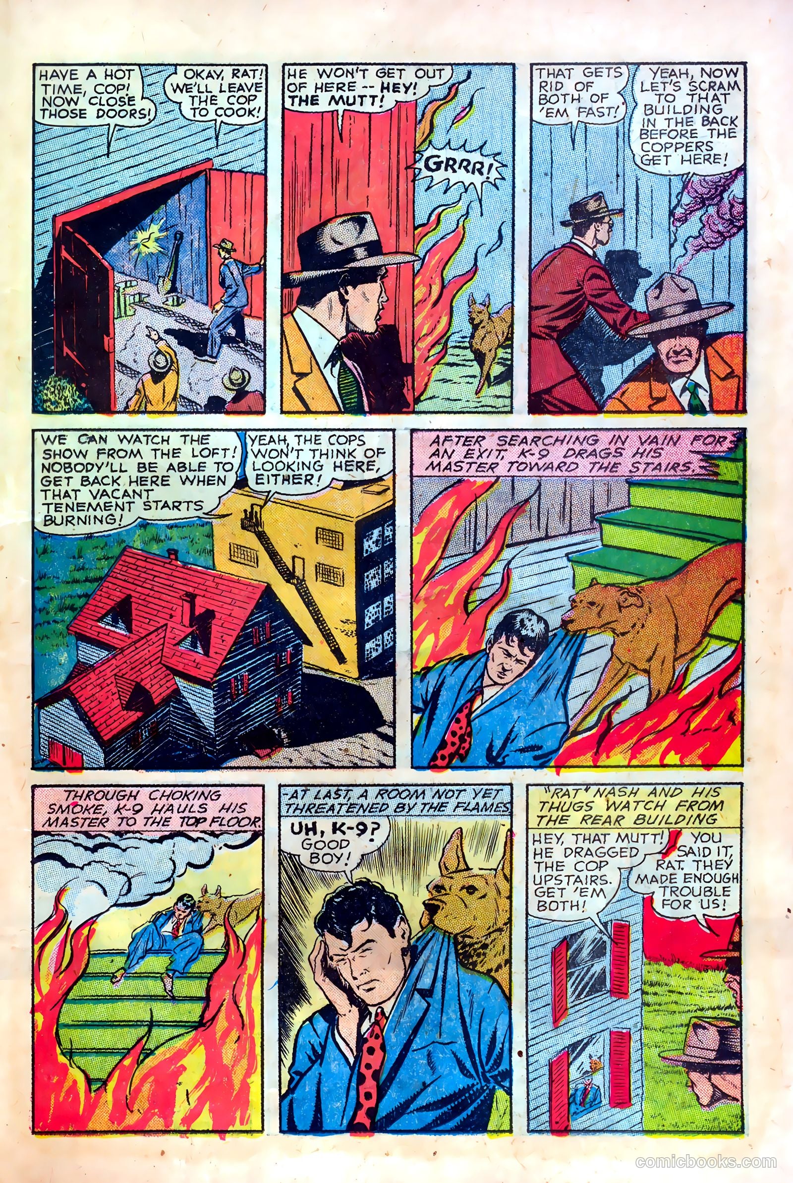 Crime Reporter #1 (1948) — page 19 of 36