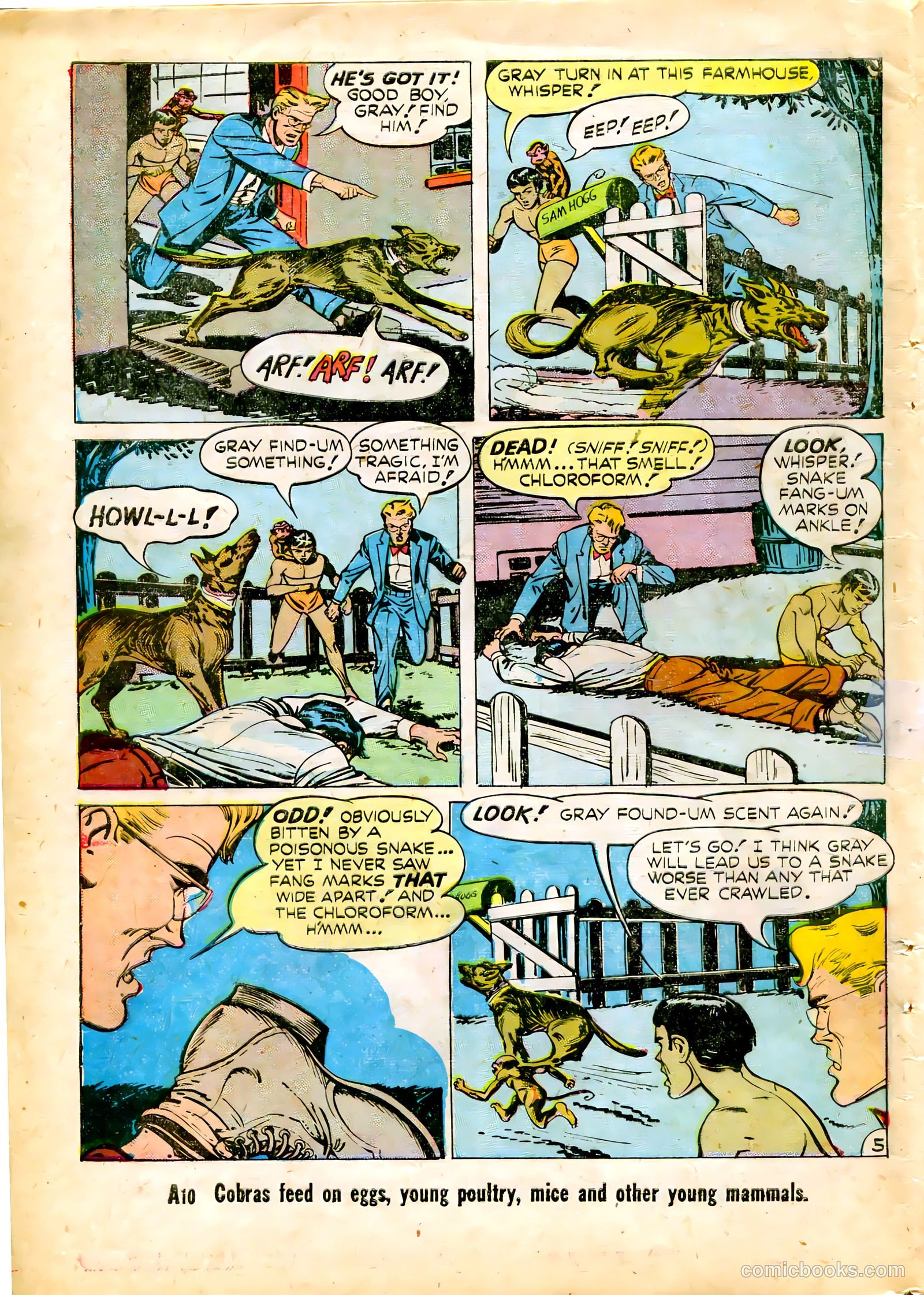 Criminals on the Run #5 (1949) — page 30 of 36