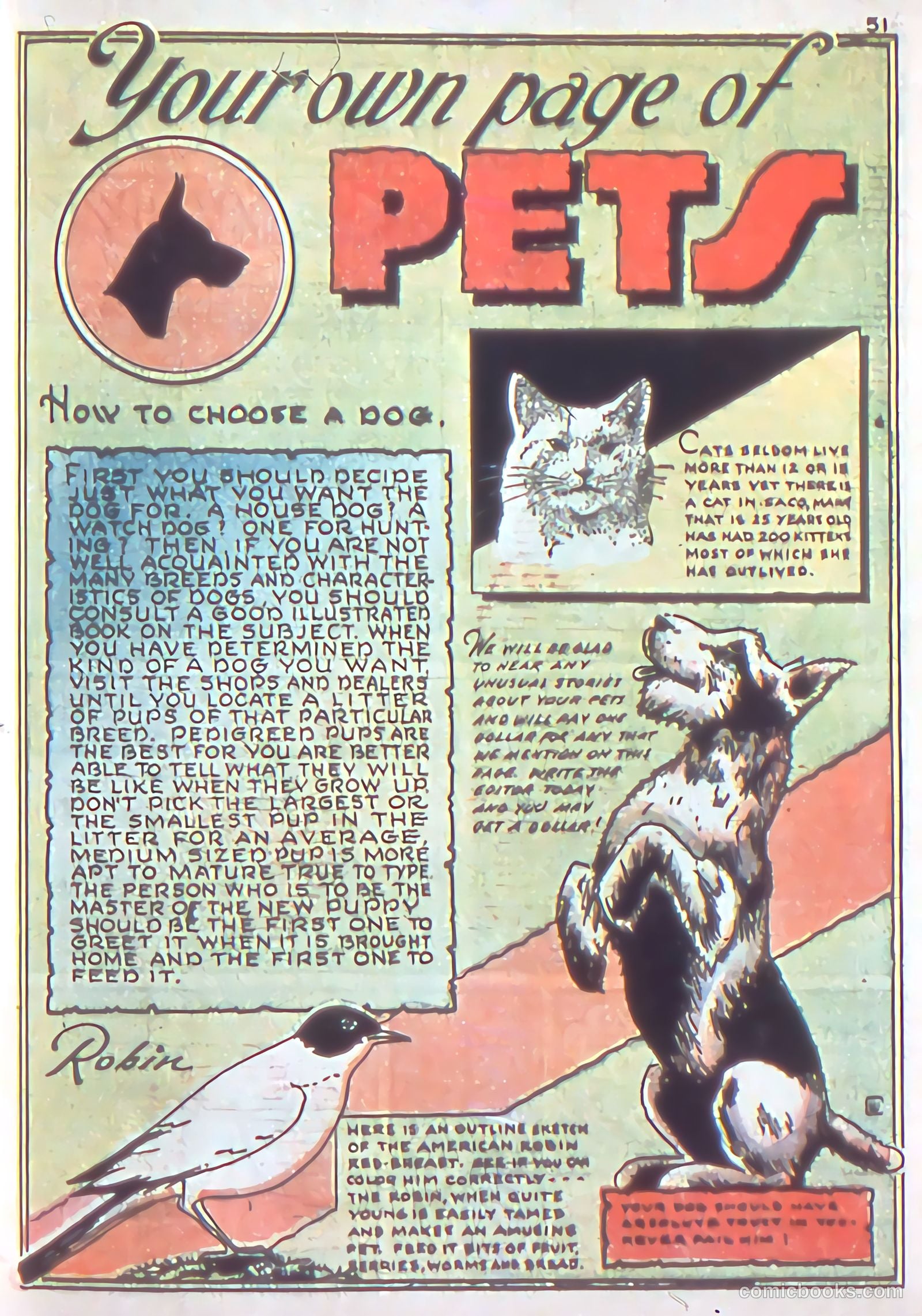 Cyclone Comics #1 (1940) — page 53 of 68