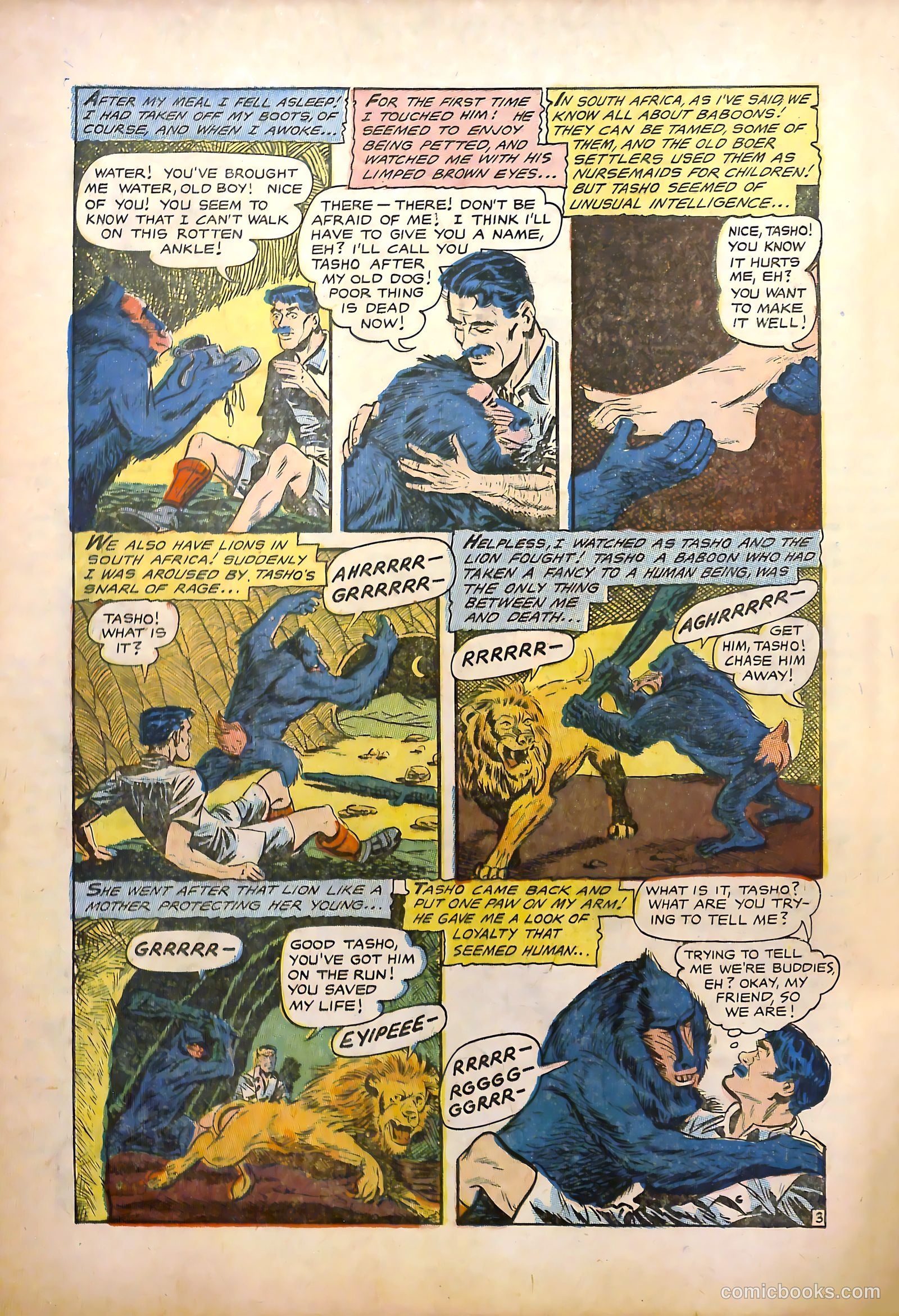 Dark Shadows #1 (2011) — page 14 of 36