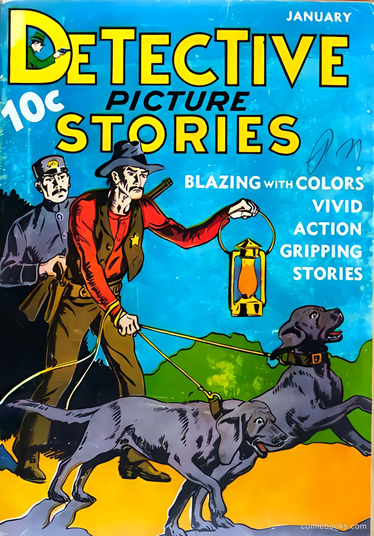 Detective Picture Stories #2
