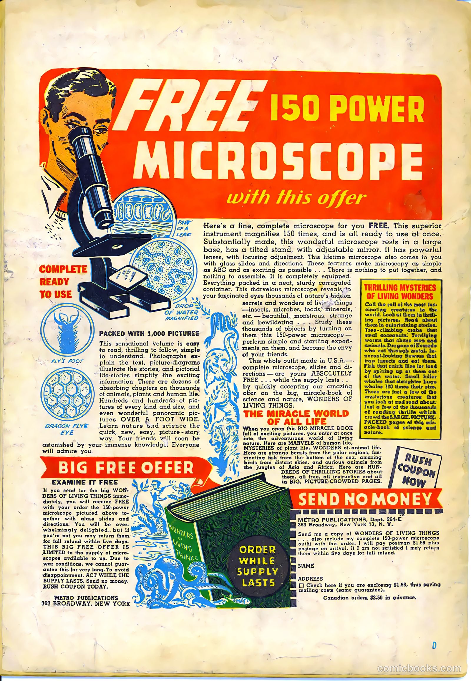 Dime Comics #1 (1945) — page 36 of 36