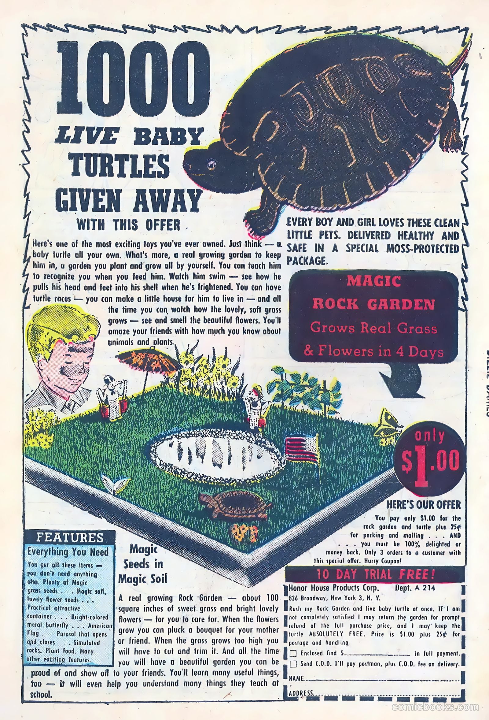 Dizzy Dames #5 (1953) — page 34 of 36