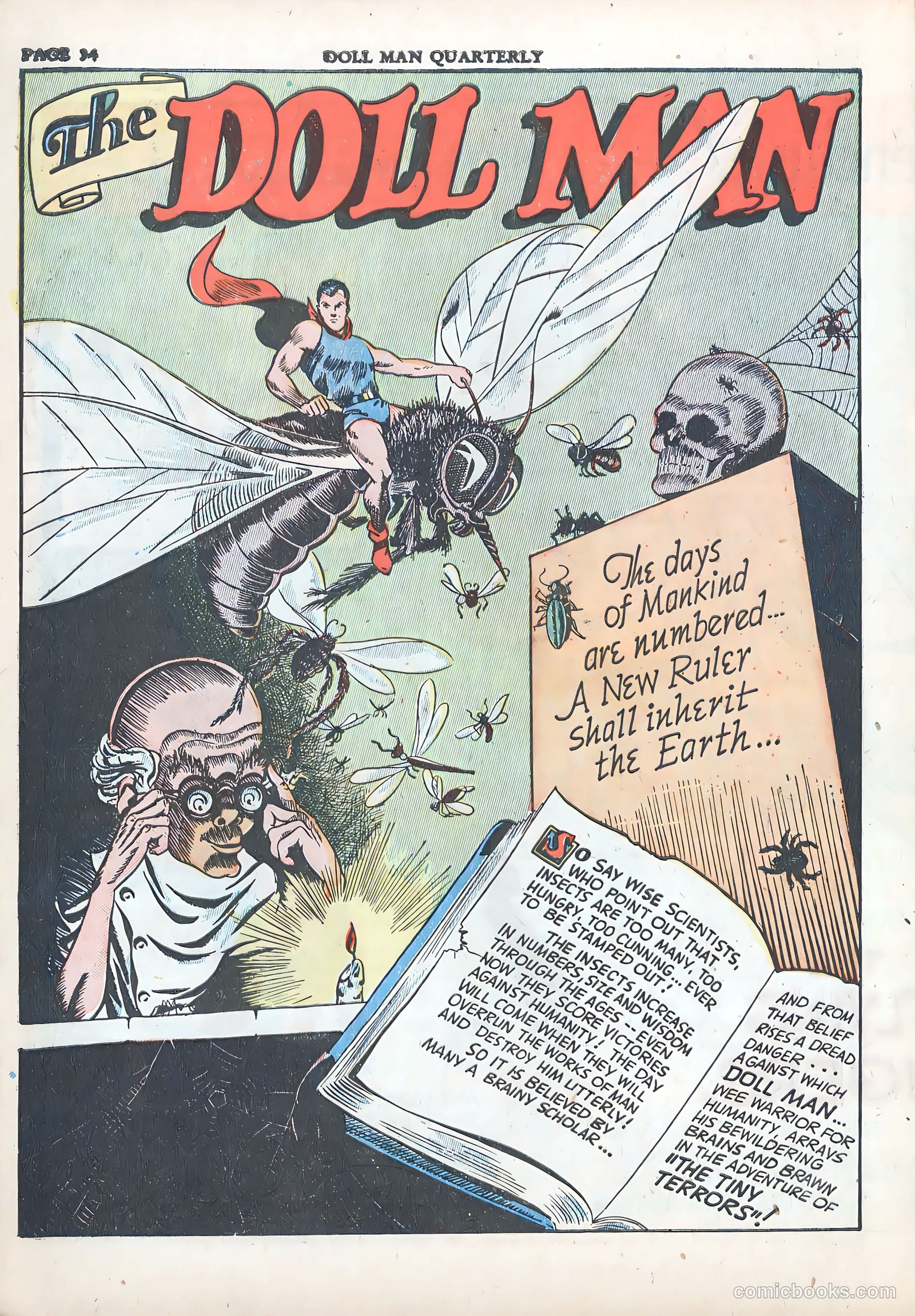 Doll Man #6 (1943) — page 35 of 67