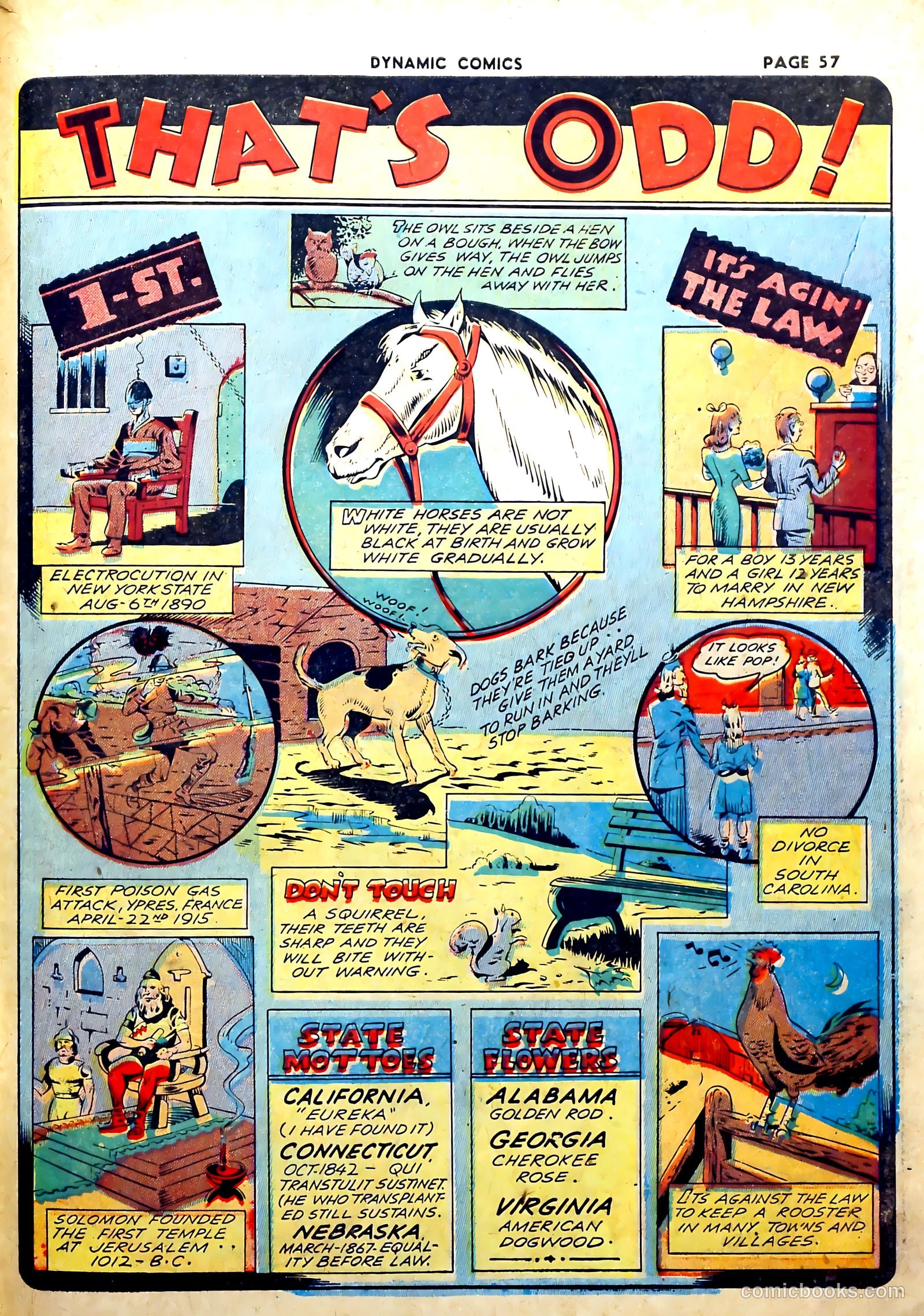 Dynamic Comics #2 (1941) — page 59 of 68