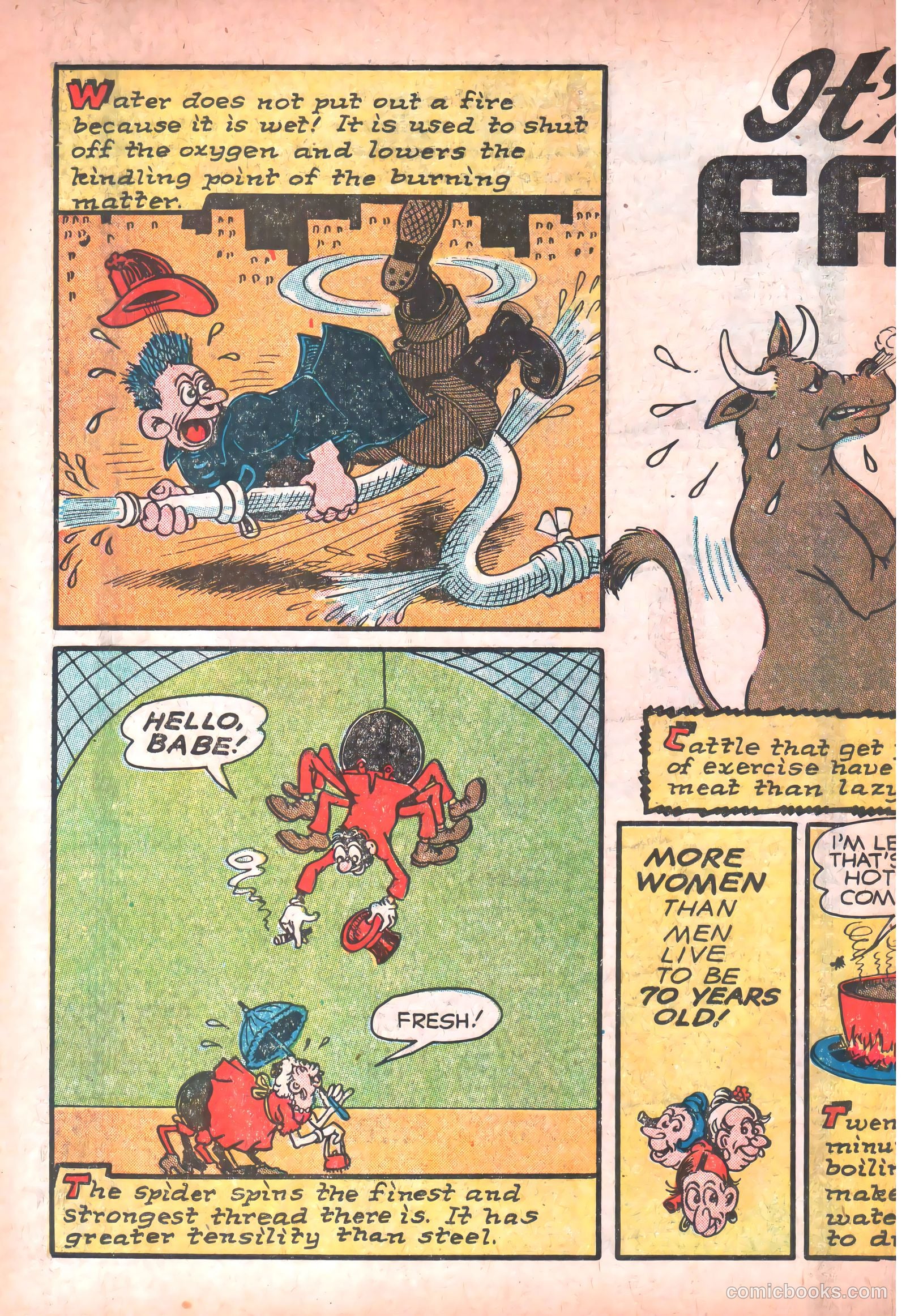 Dynamic Comics #23 (1947) — page 34 of 68
