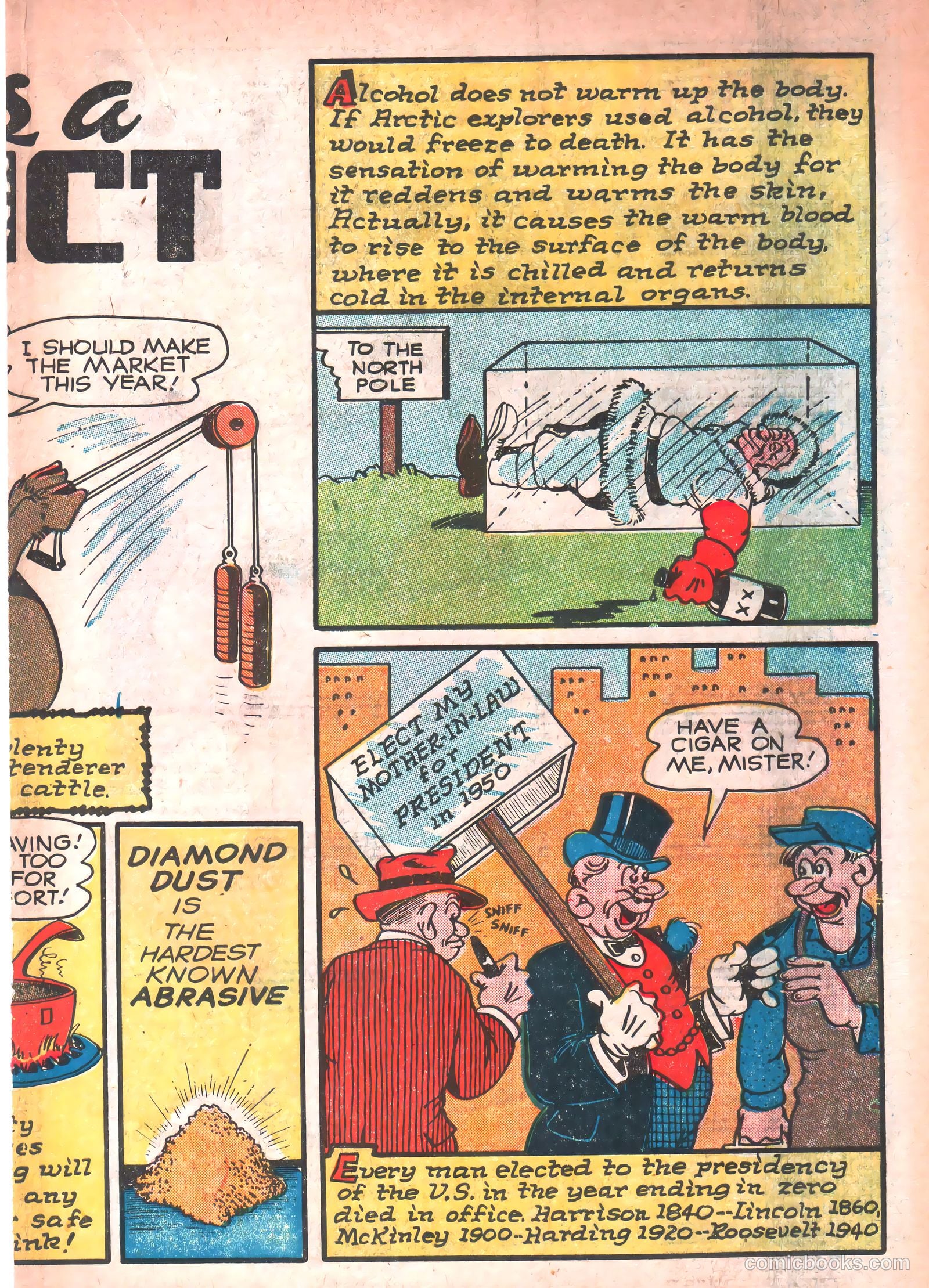 Dynamic Comics #23 (1947) — page 35 of 68