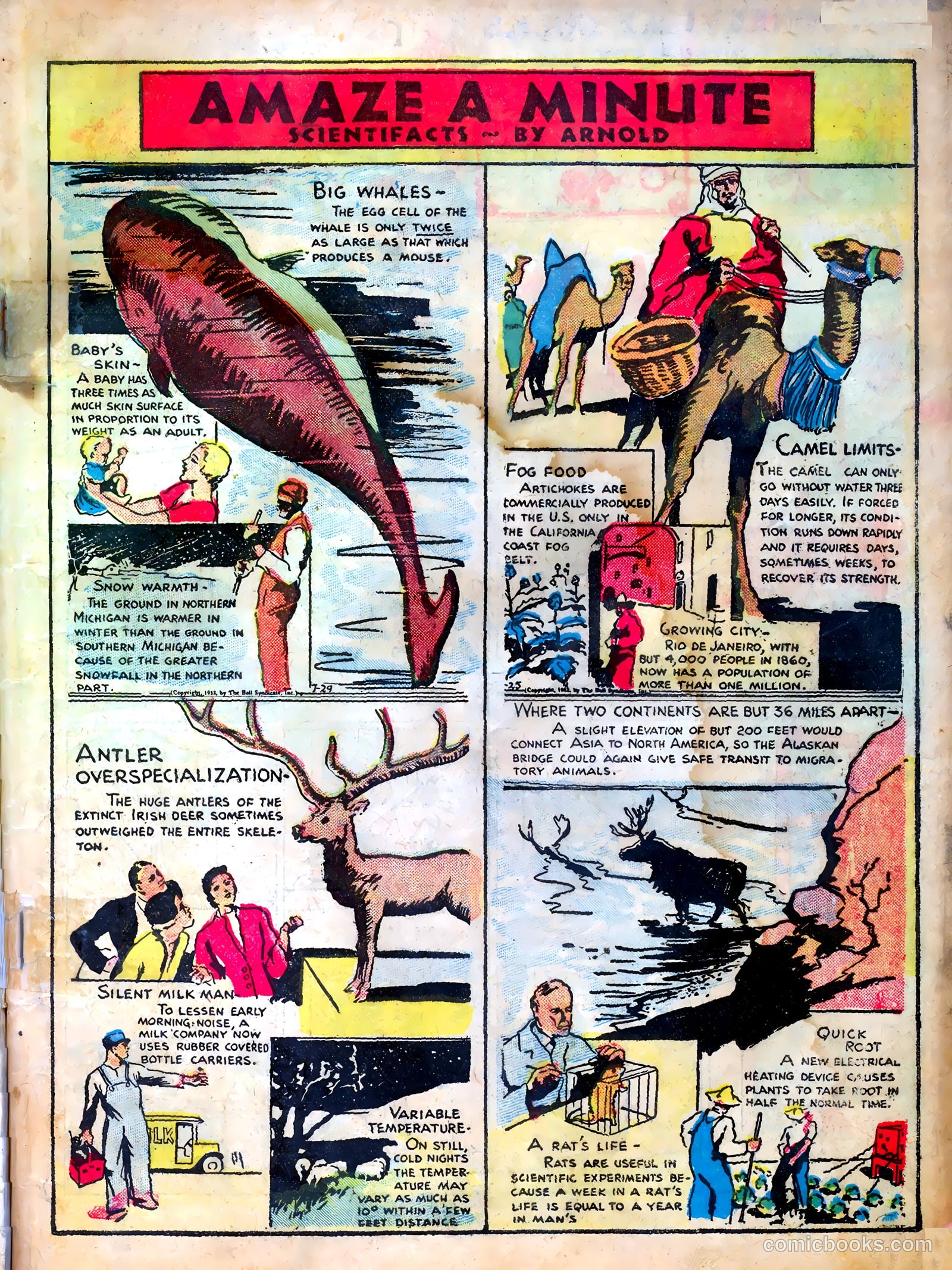 Famous Funnies #1 (1934) — page 3 of 68