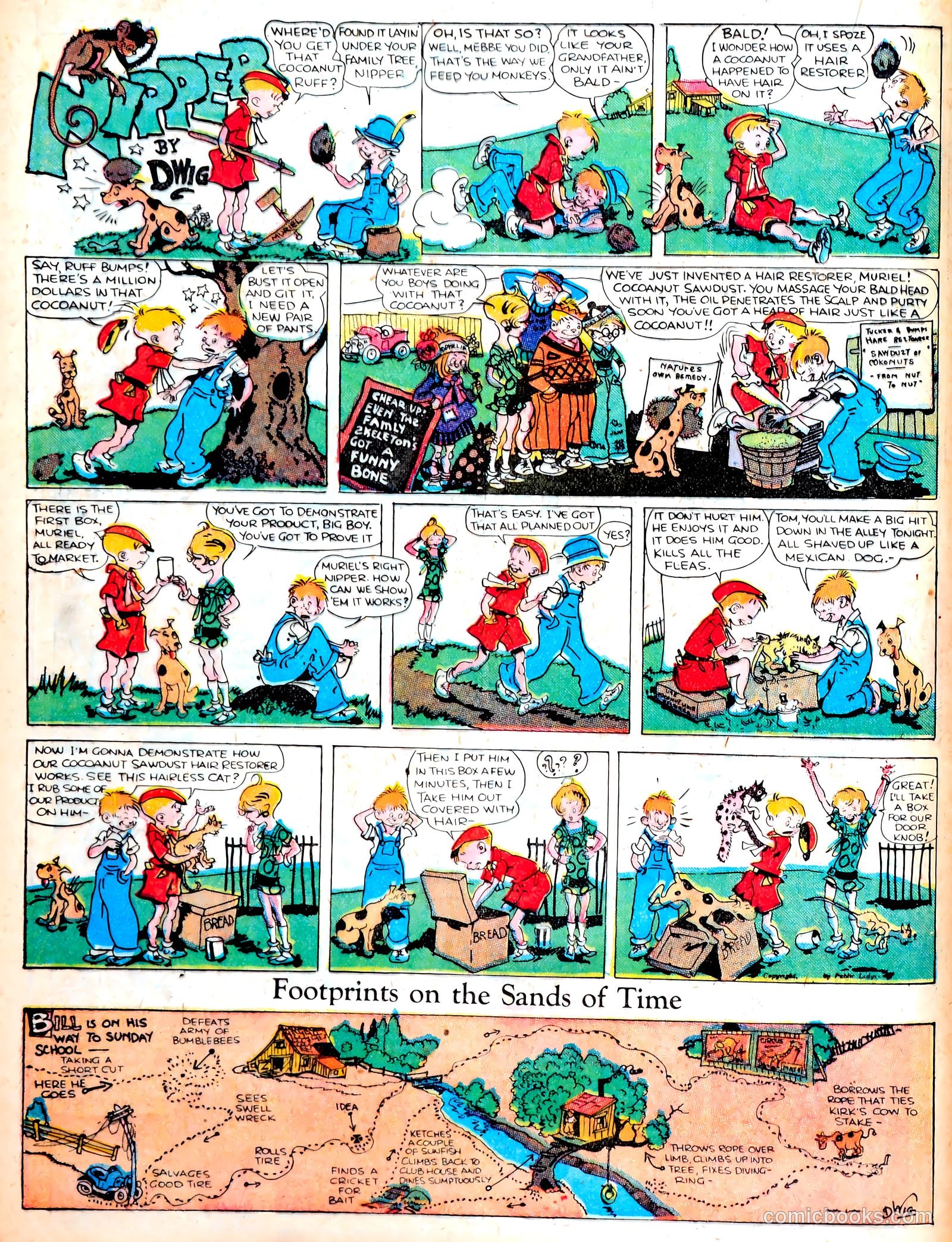 Famous Funnies #13 (1935) — page 24 of 63