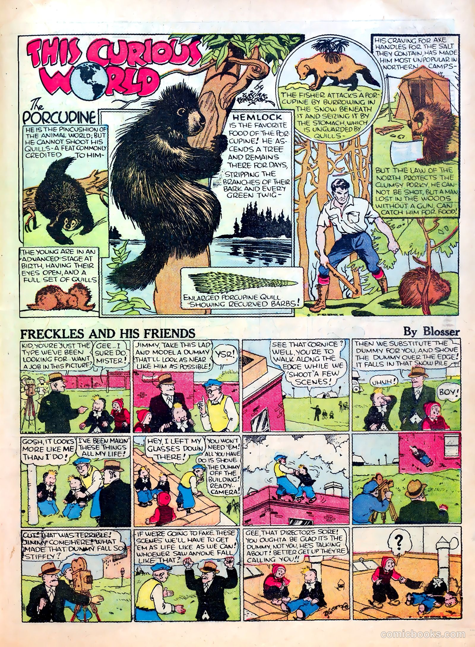 Famous Funnies #19 (1936) — page 31 of 64