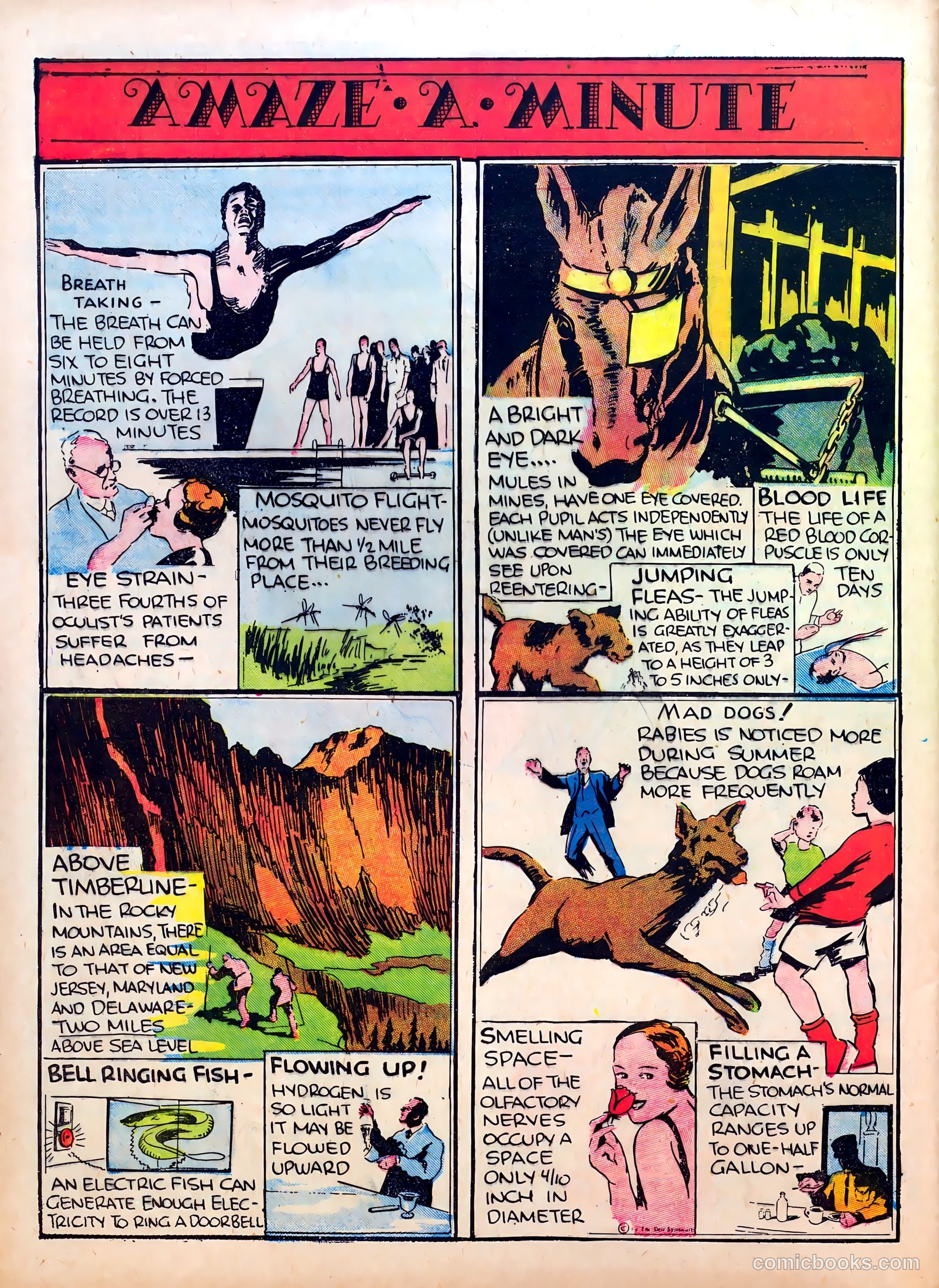 Famous Funnies #23 (1936) — page 47 of 63