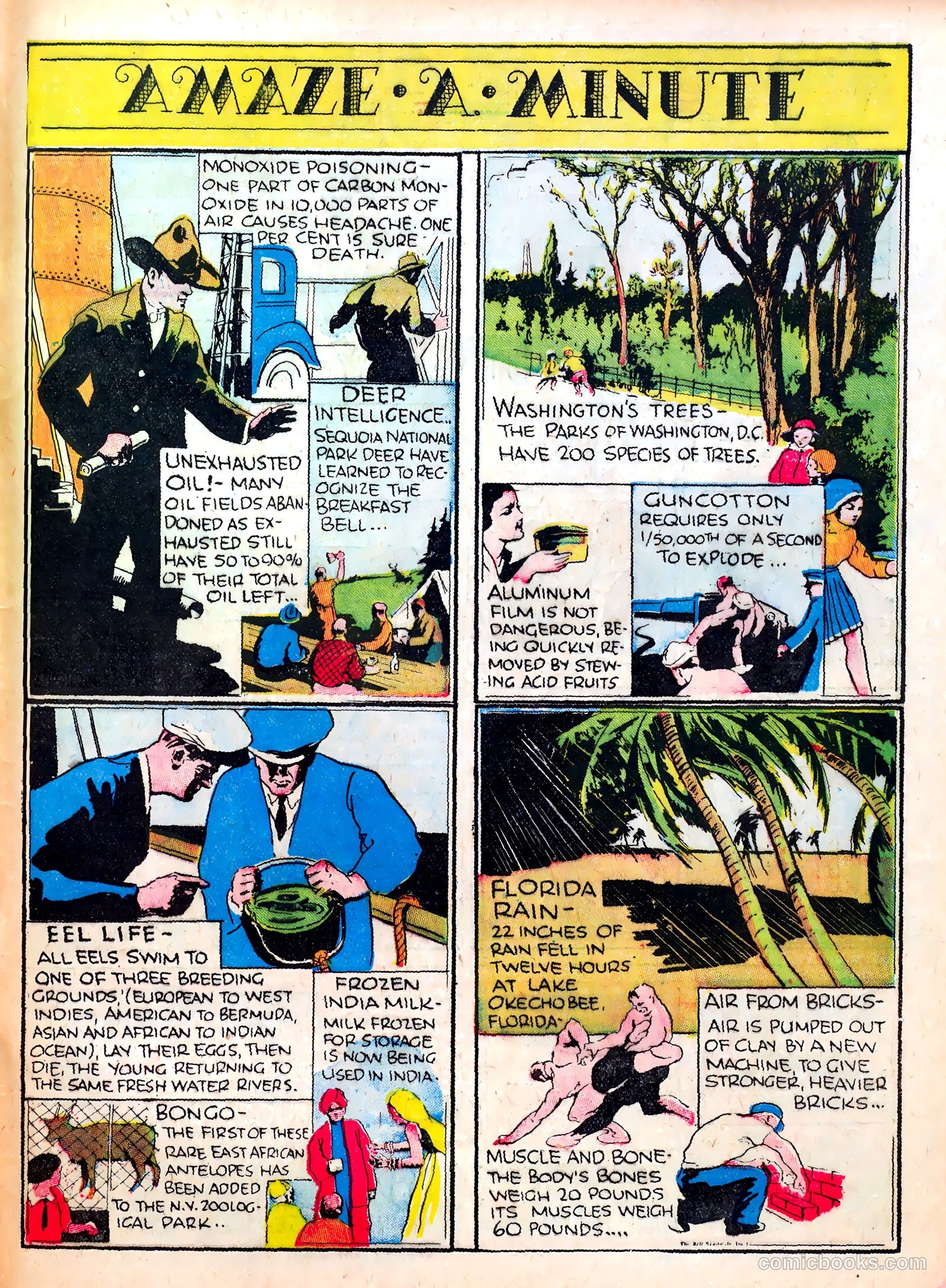 Famous Funnies #27 (1936) — page 61 of 64