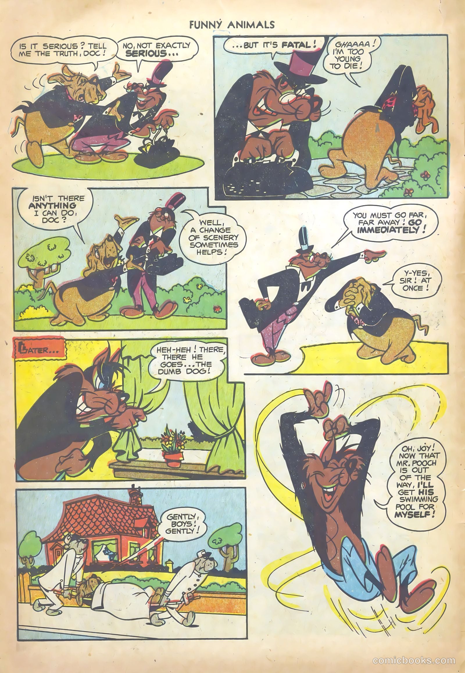 Fawcett's Funny Animals #82 (1953) — page 6 of 36