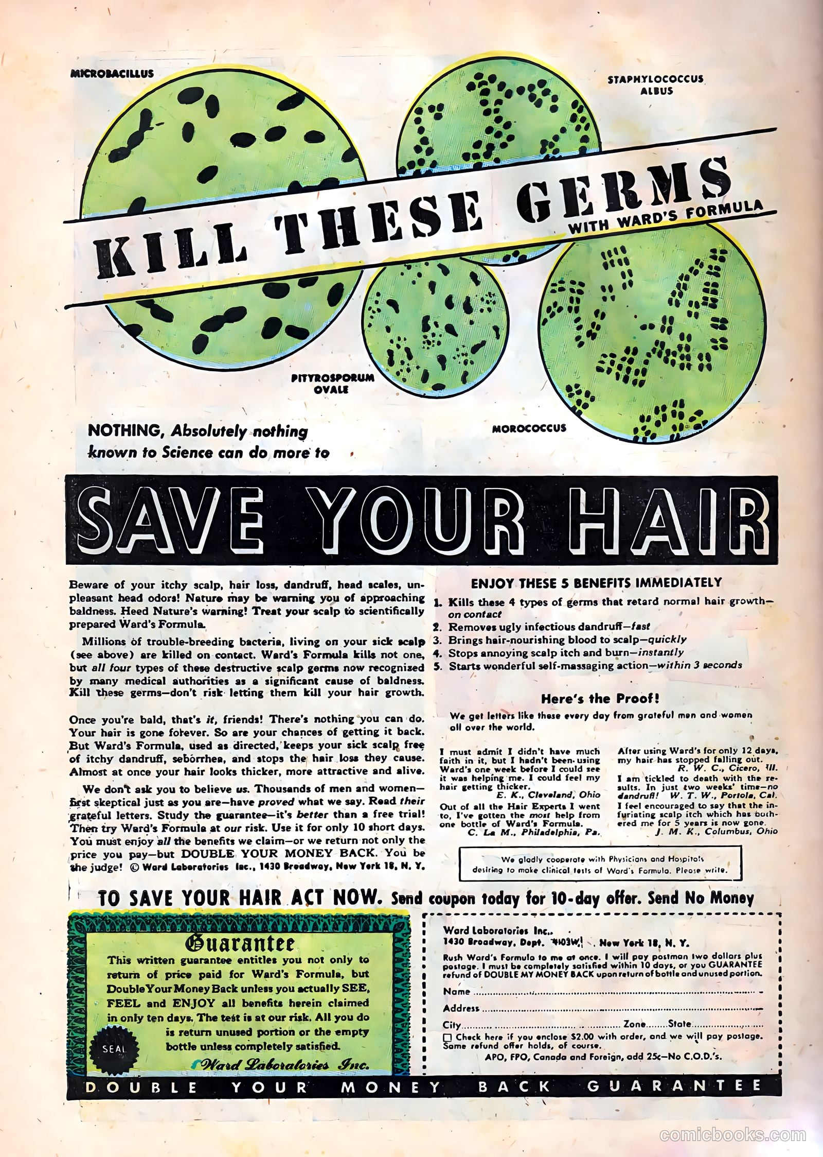 Fight against Crime #8 (1952) — page 34 of 36