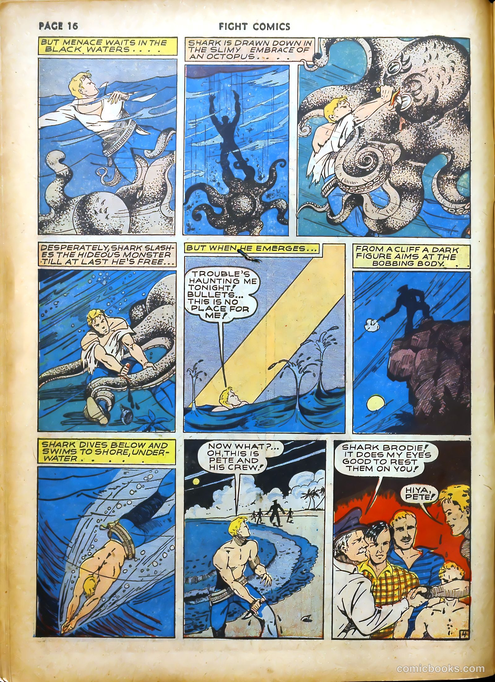Fight Comics #14 (1941) — page 19 of 69