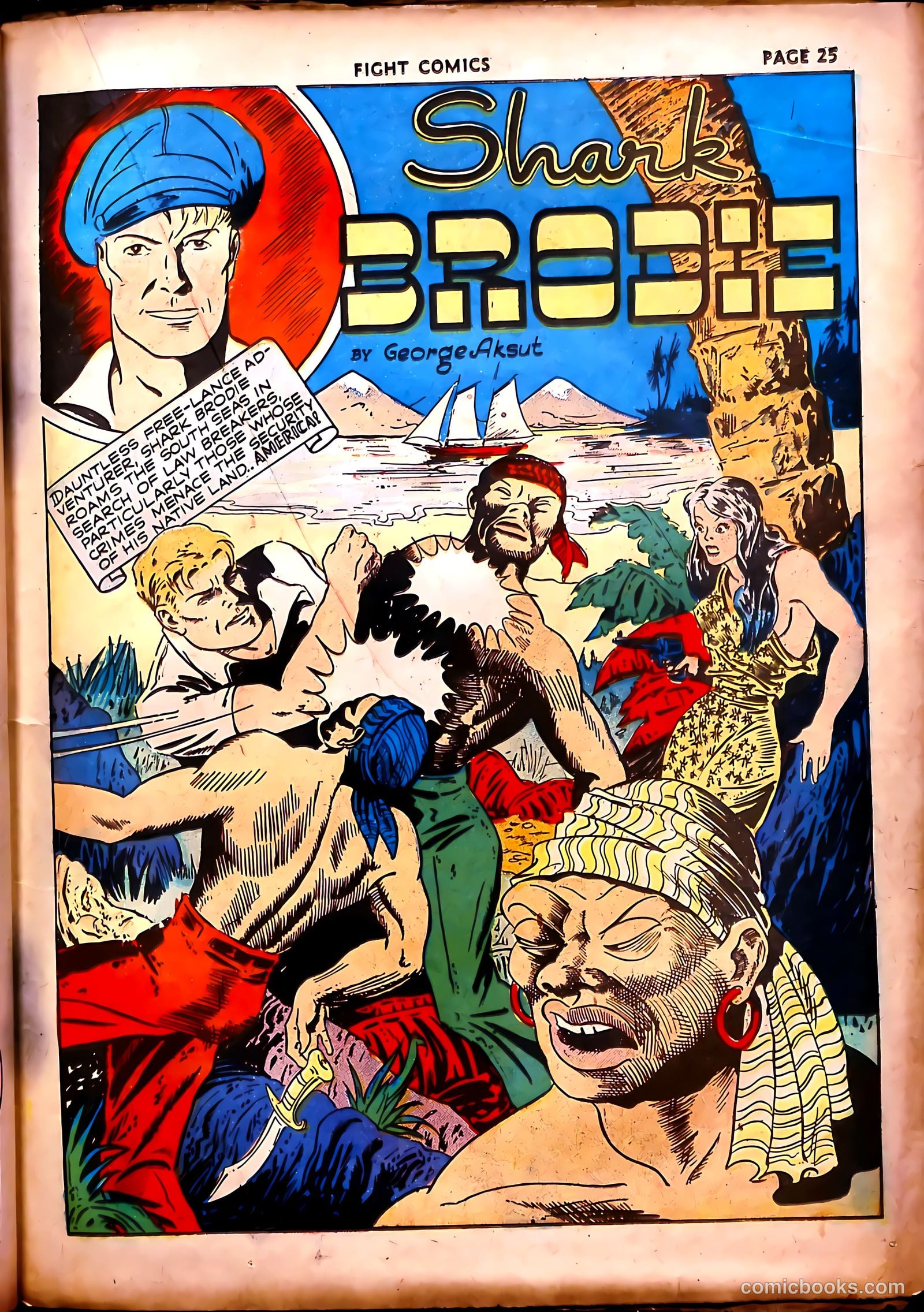 Fight Comics #17 (1942) — page 28 of 69
