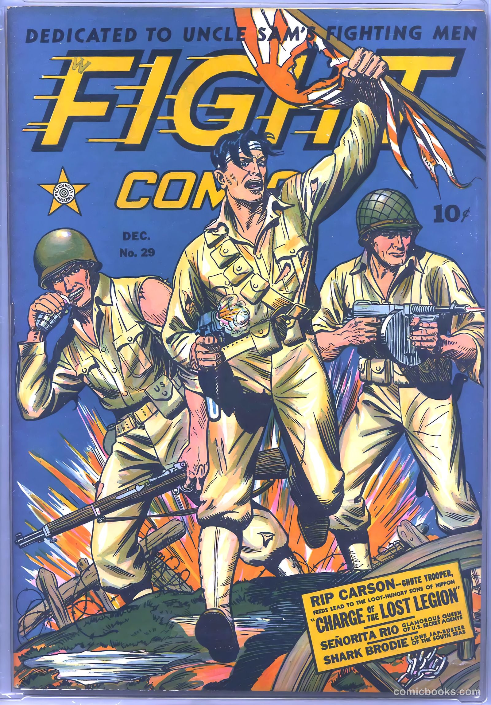 Fight Comics #29