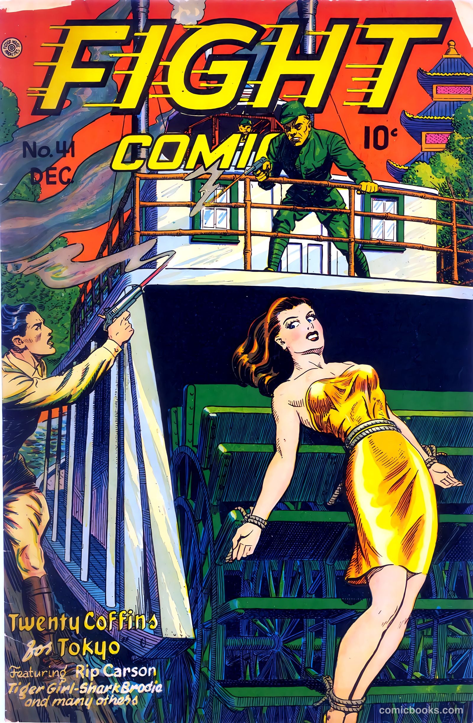 Fight Comics #41