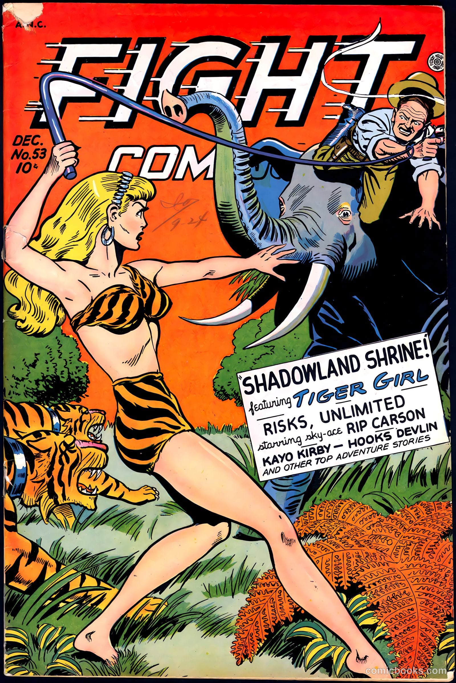 Fight Comics #53