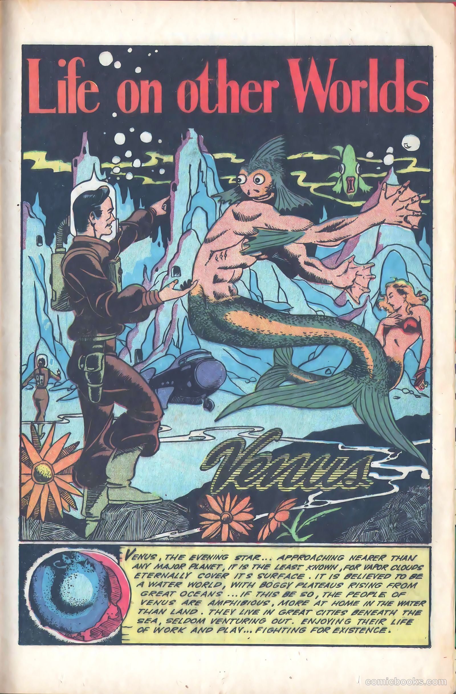 Fight Comics #80 (1952) — page 21 of 36