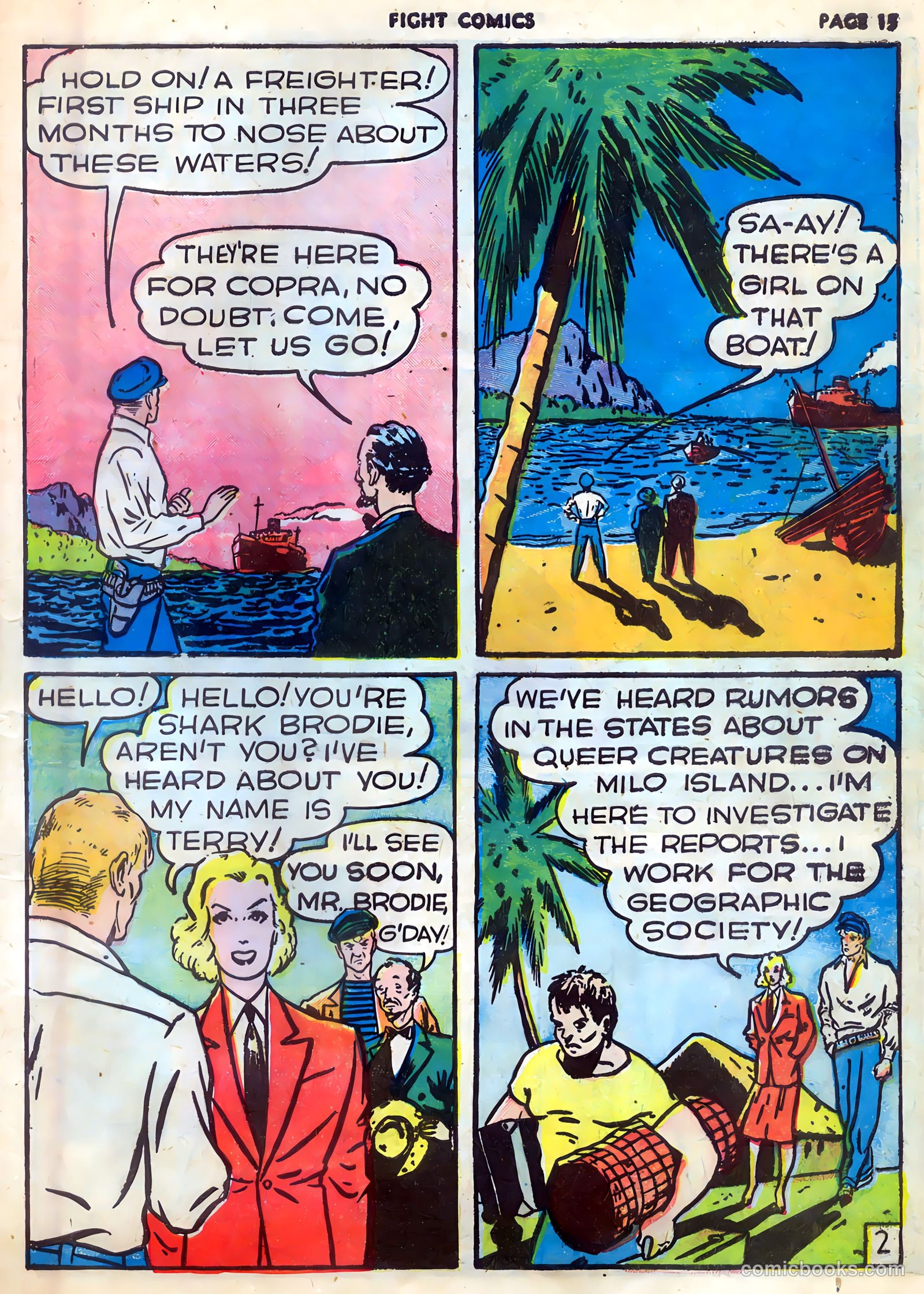 Fight Comics #9 (1940) — page 17 of 68