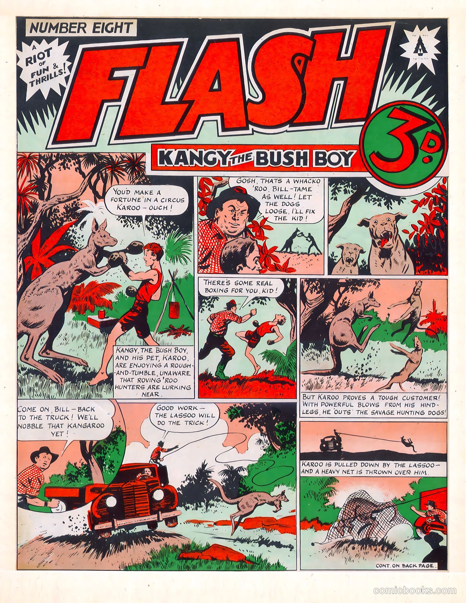 Flash #8