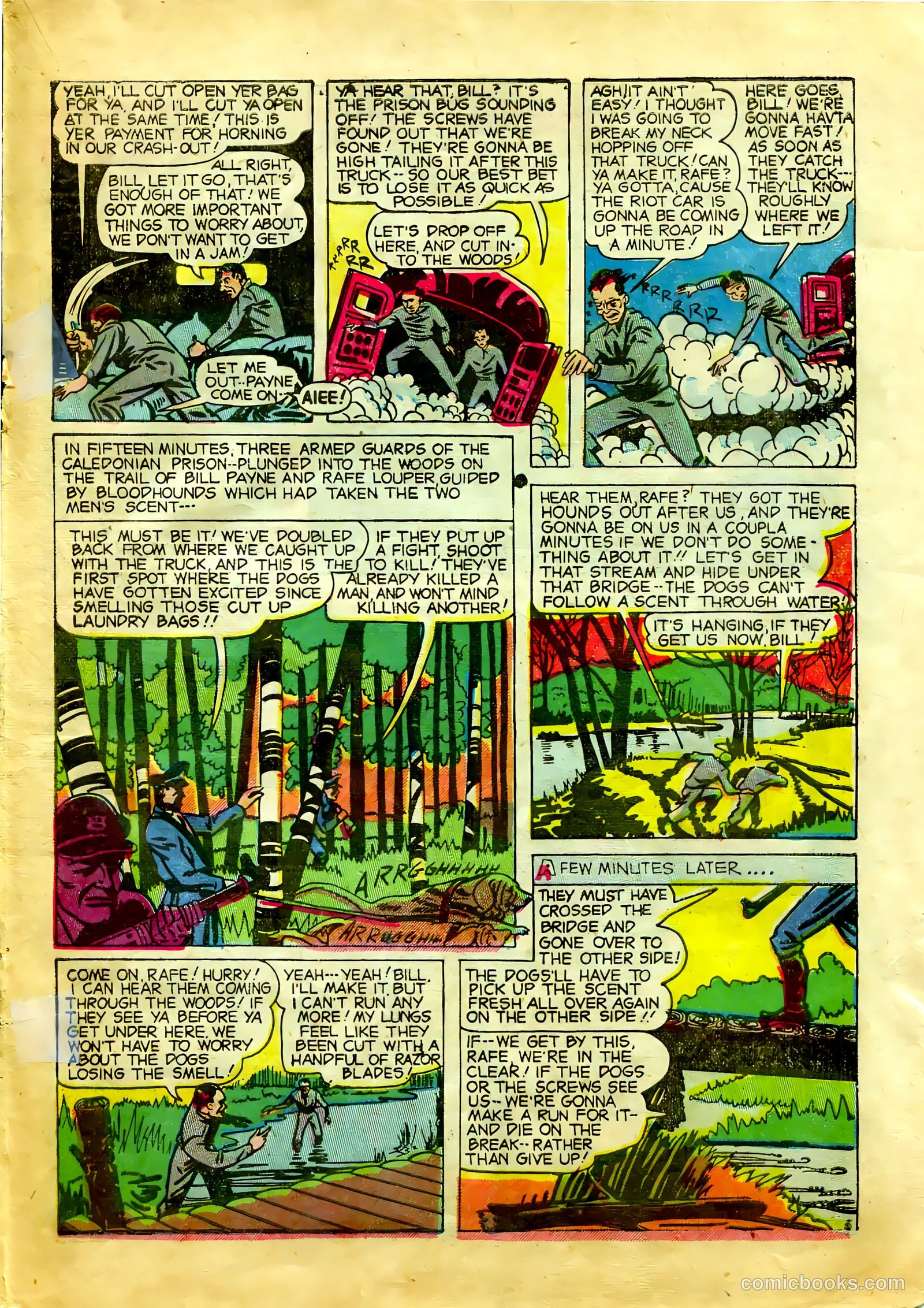 All-Famous Crime #8 (1951) — page 19 of 36