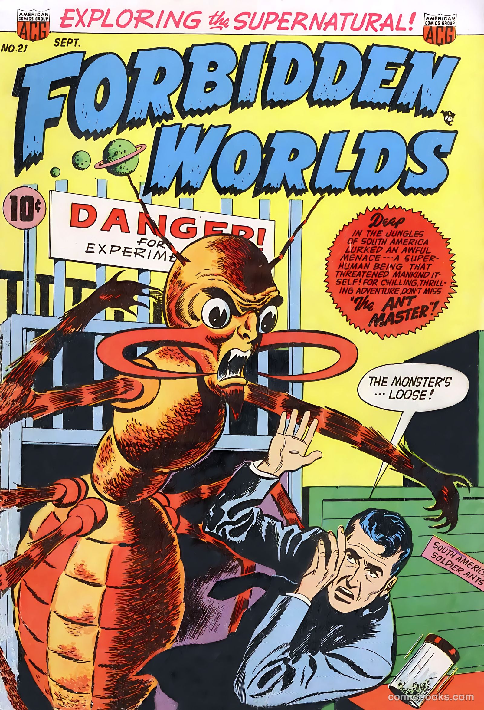 Forbidden Worlds #21