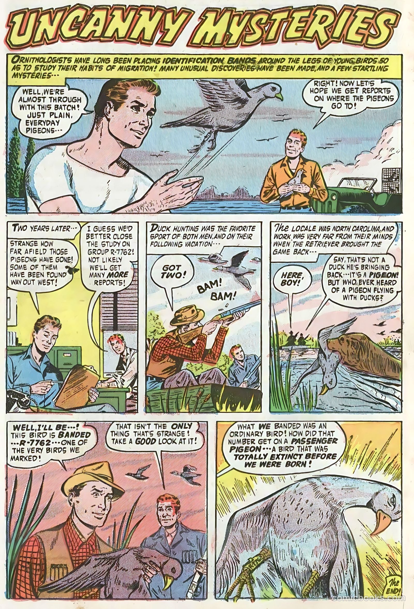 Forbidden Worlds #46 (1956) — page 24 of 36