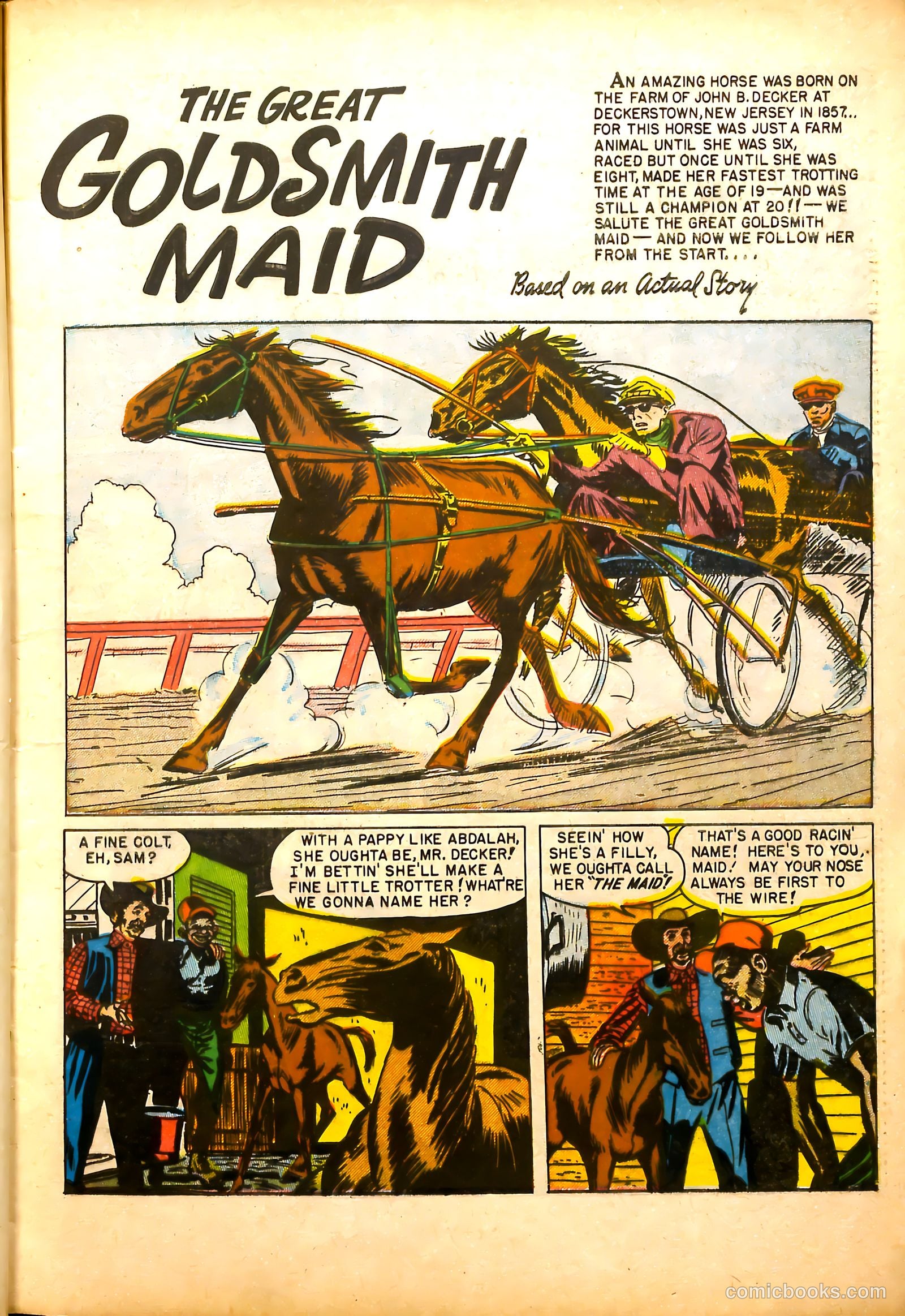 All-Time Sports Comics #5 (1949) — page 13 of 52
