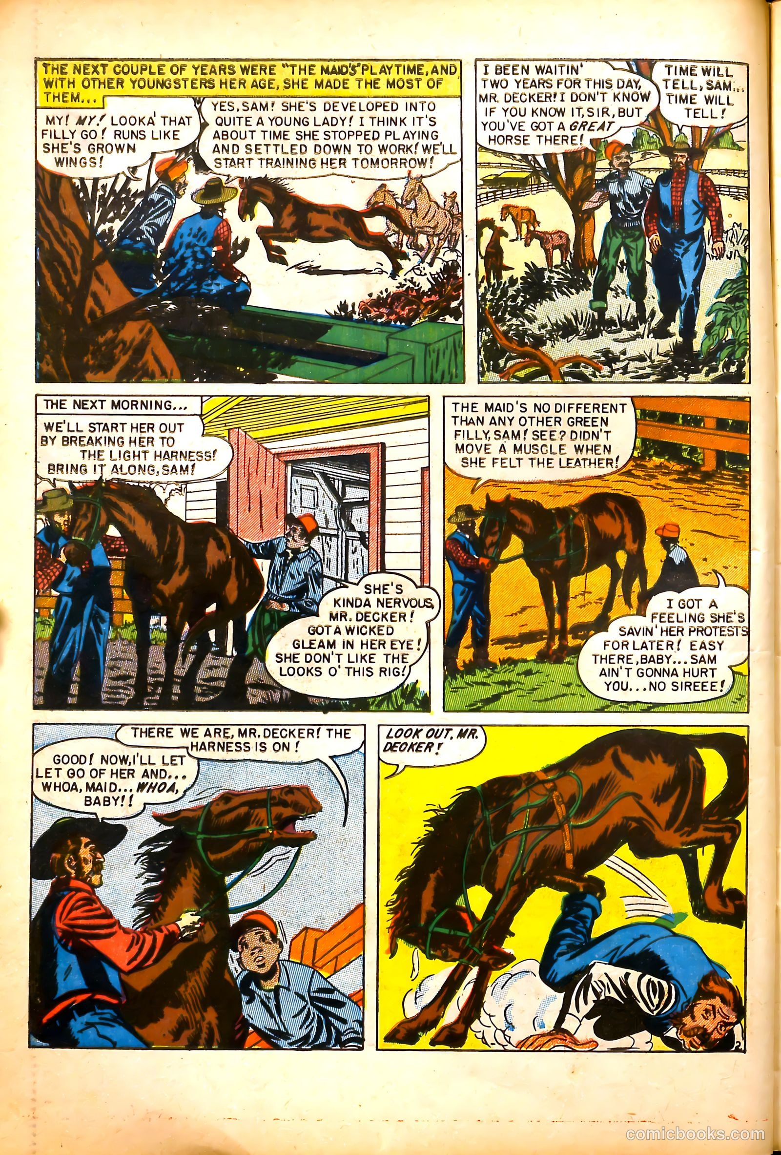 All-Time Sports Comics #5 (1949) — page 14 of 52