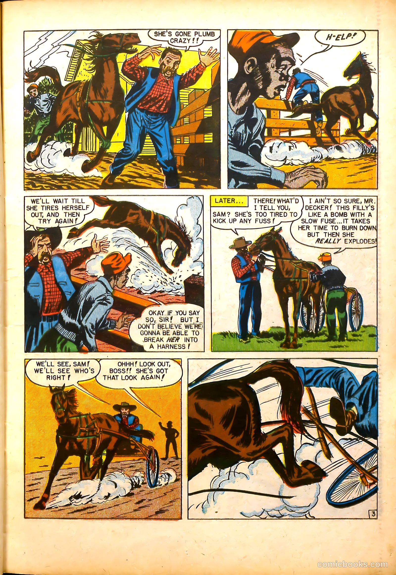 All-Time Sports Comics #5 (1949) — page 15 of 52