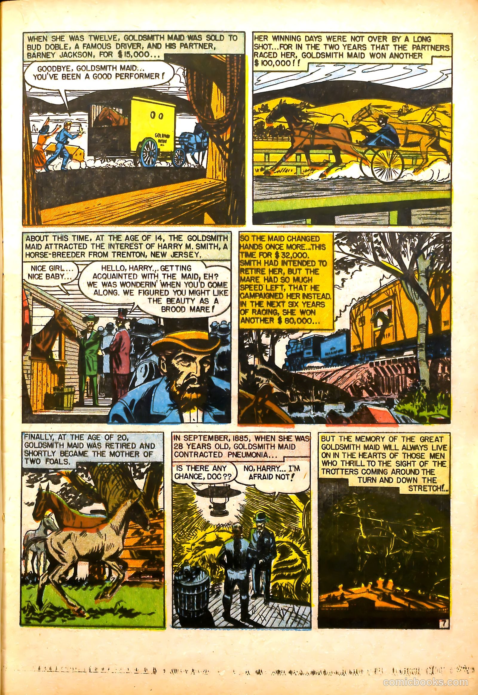 All-Time Sports Comics #5 (1949) — page 19 of 52