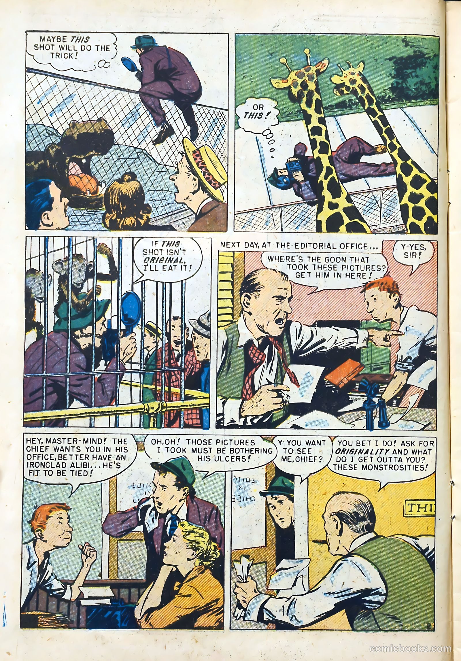 All-Time Sports Comics #6 (1949) — page 14 of 52