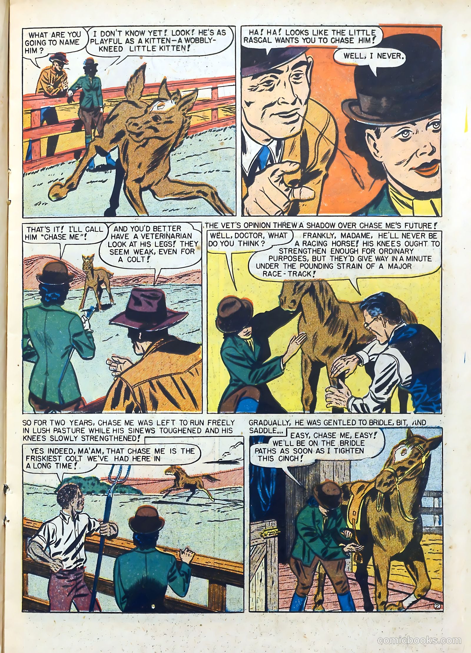 All-Time Sports Comics #6 (1949) — page 21 of 52