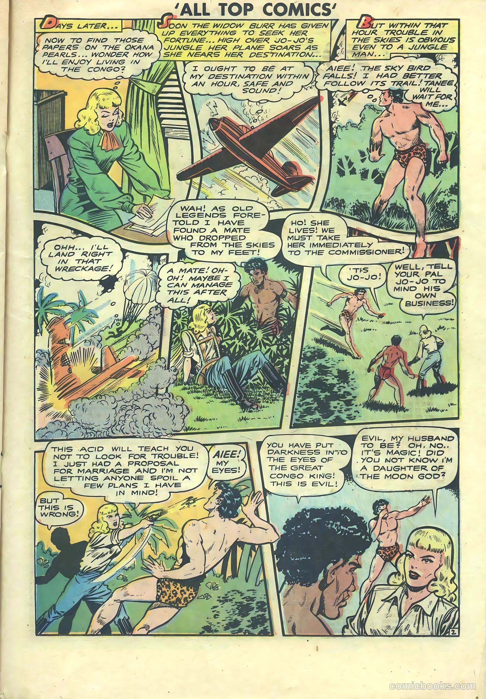 All Top Comics #13 (1948) — page 21 of 36