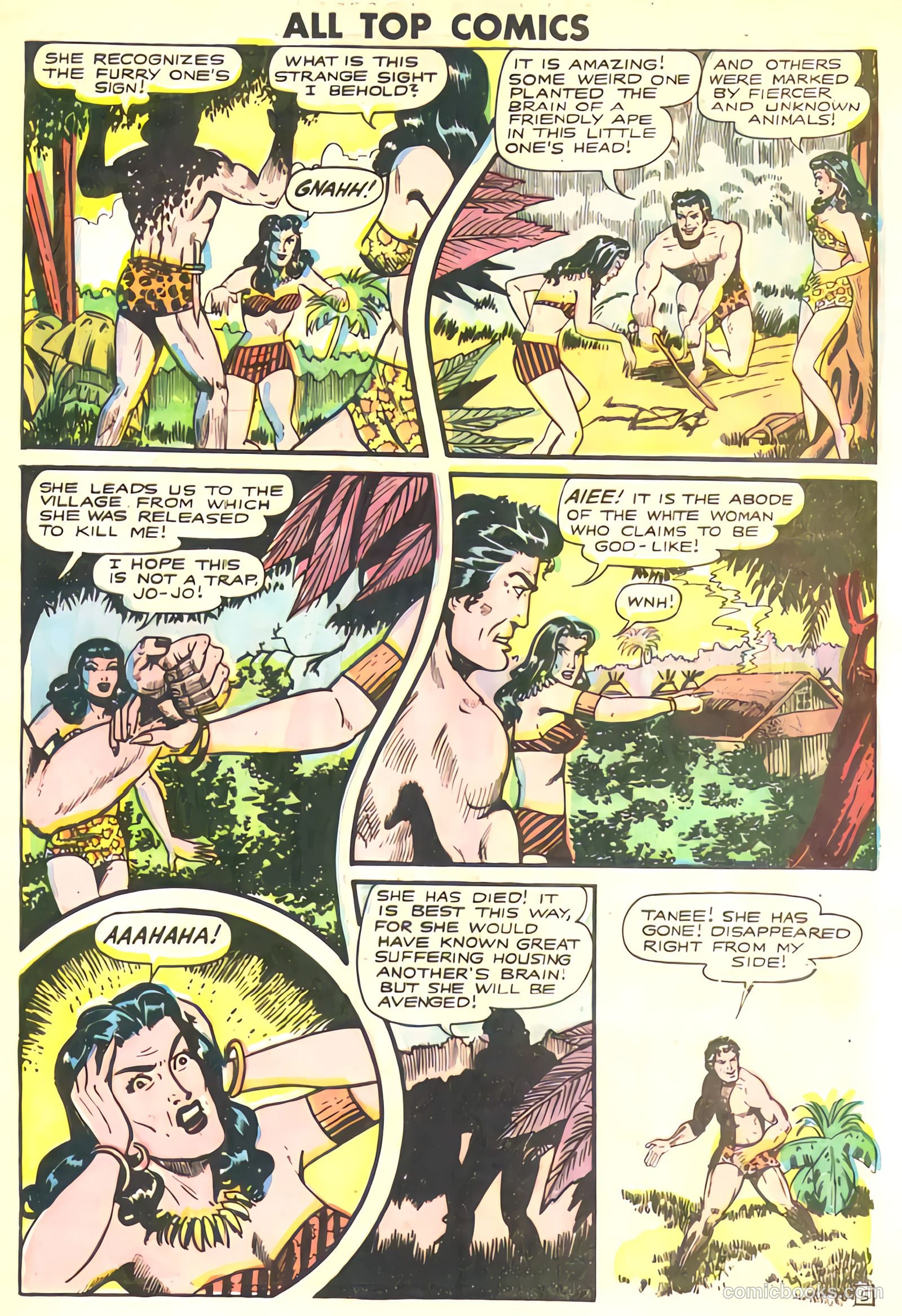 All Top Comics #14 (1948) — page 29 of 36