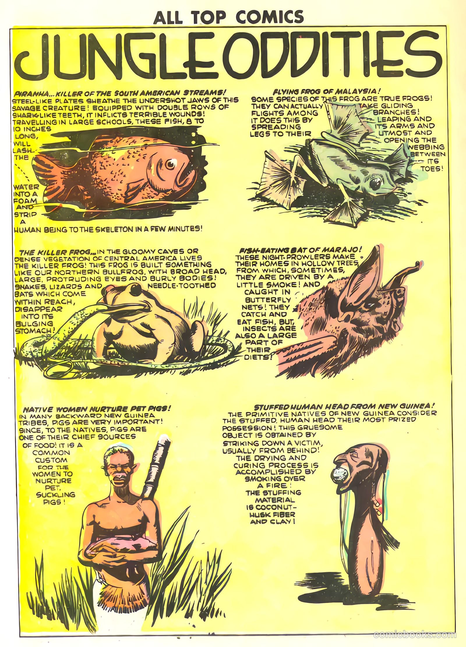 All Top Comics #14 (1948) — page 32 of 36
