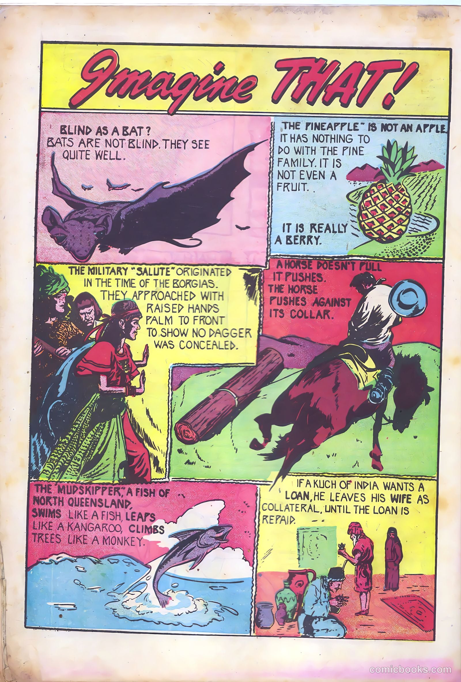 All Top Comics #2 (1946) — page 34 of 36